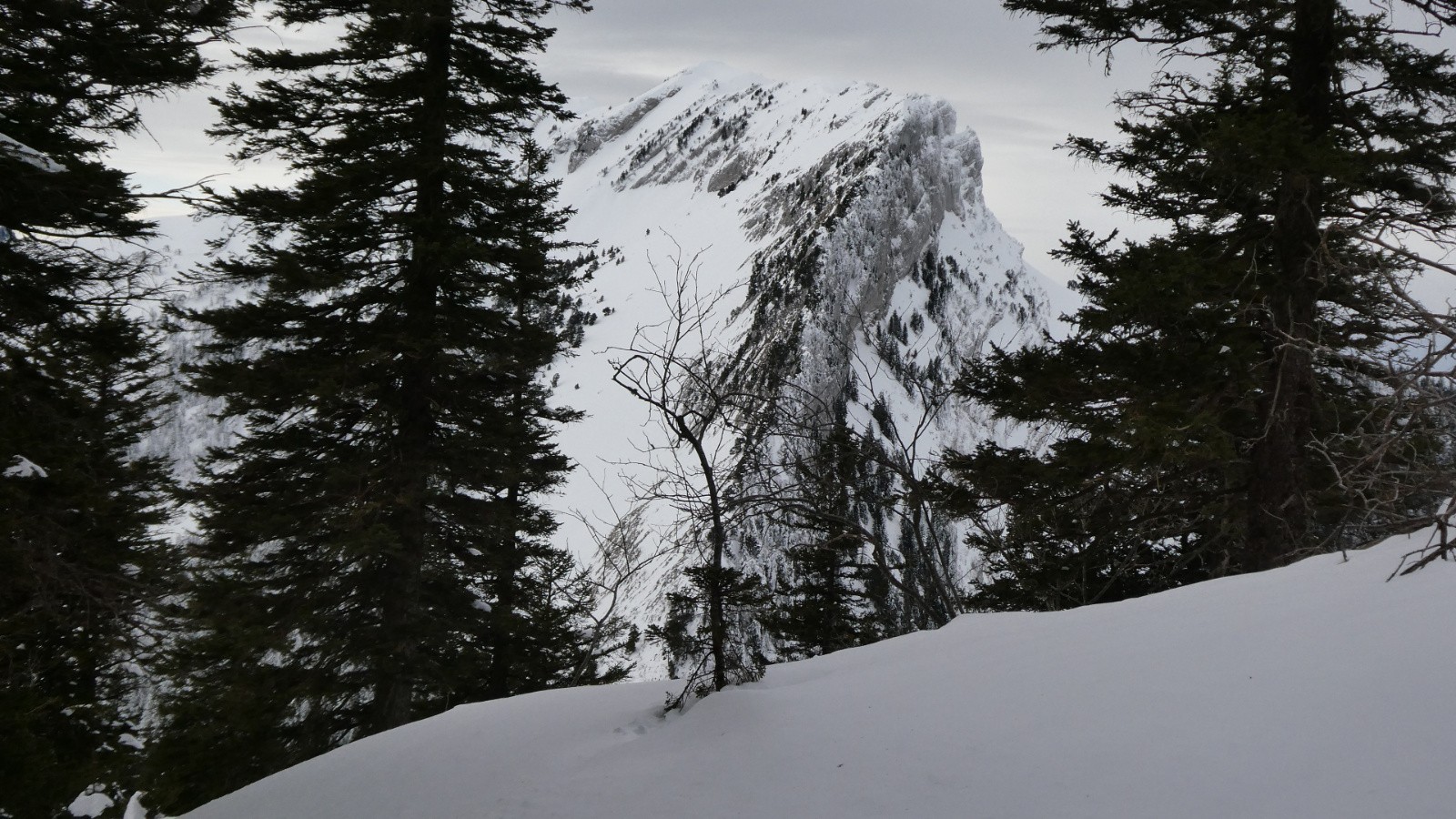 en montant à la Crête des Charmilles 