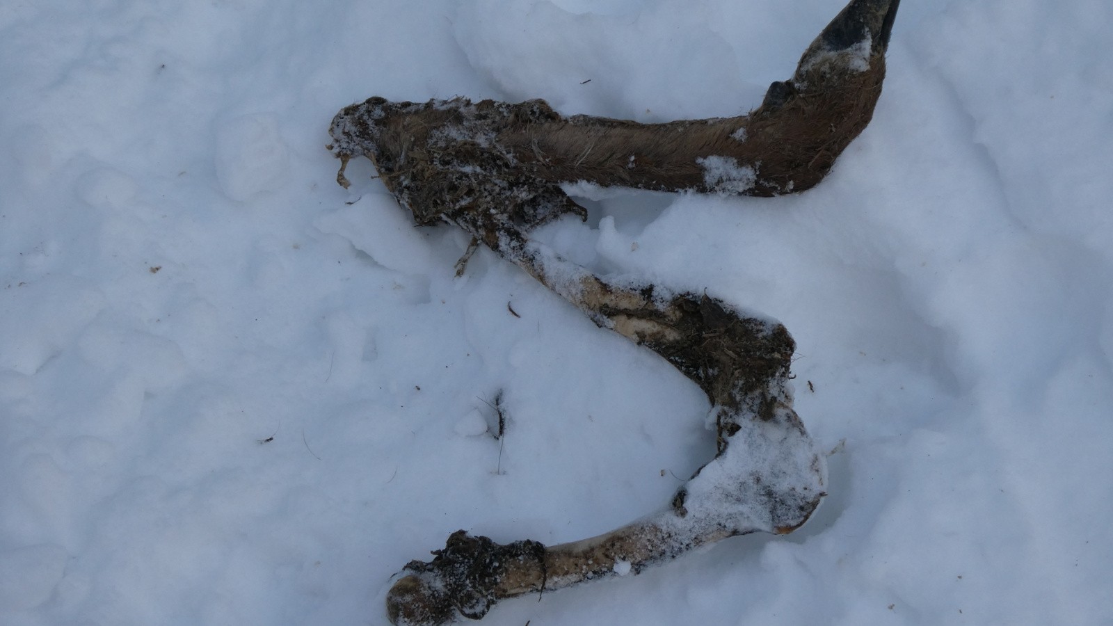 il était écrit que ce serai sa fin 