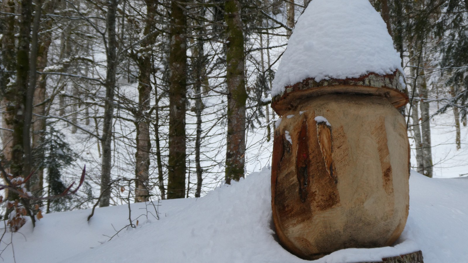 ici tous les crayons de couleur sont blancs 