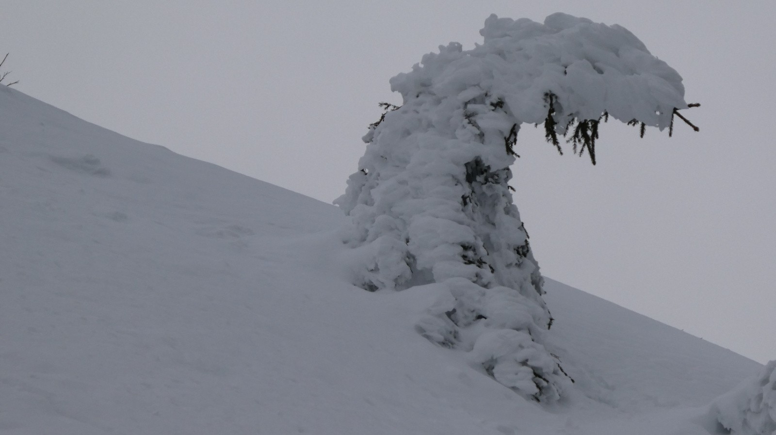et même des monstres ! 
