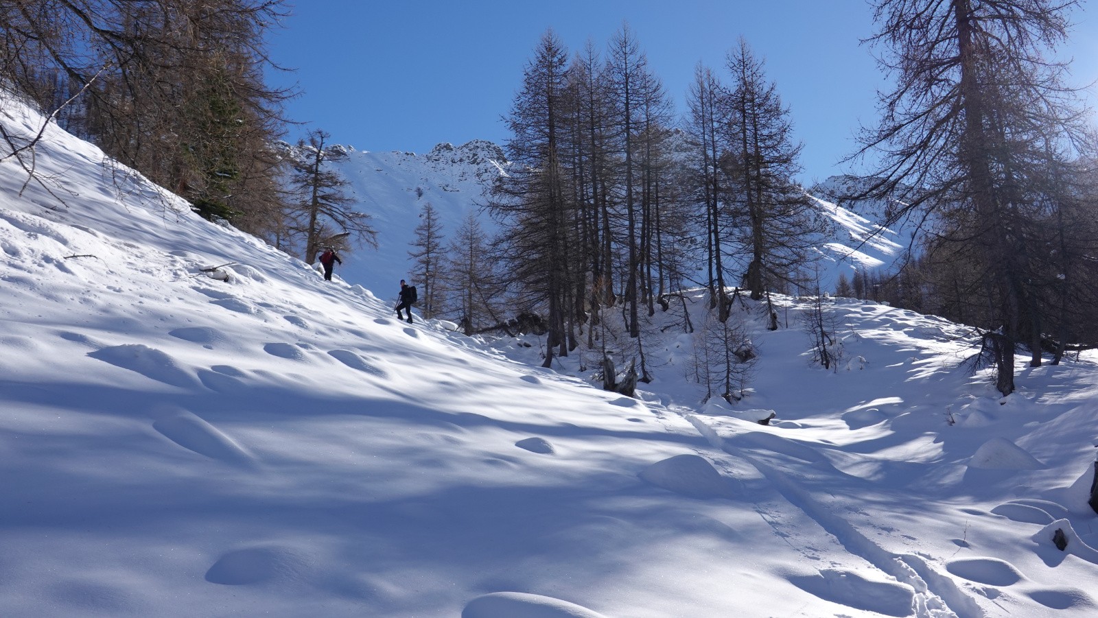 Nous rejoignons la Combe de la Seti