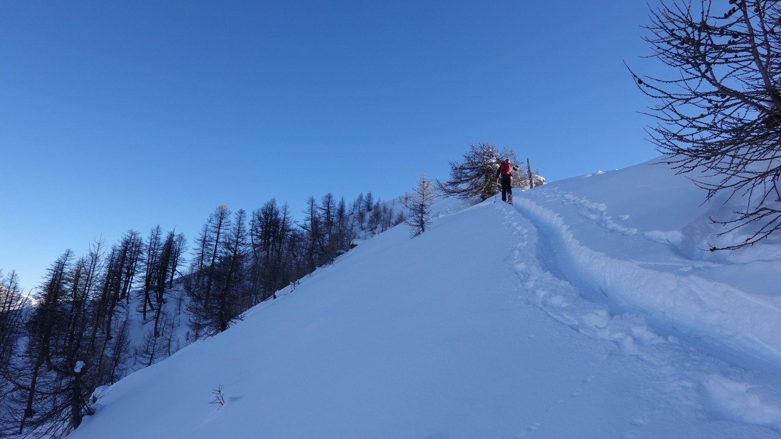 Bientôt au sommet de Merdabuel