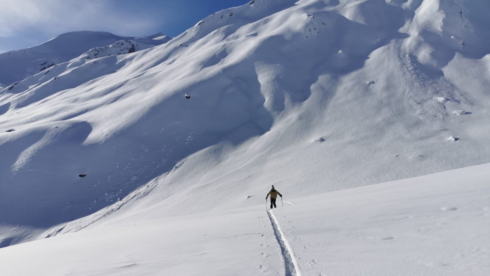  Pas grand monde dans le secteur étonnant !