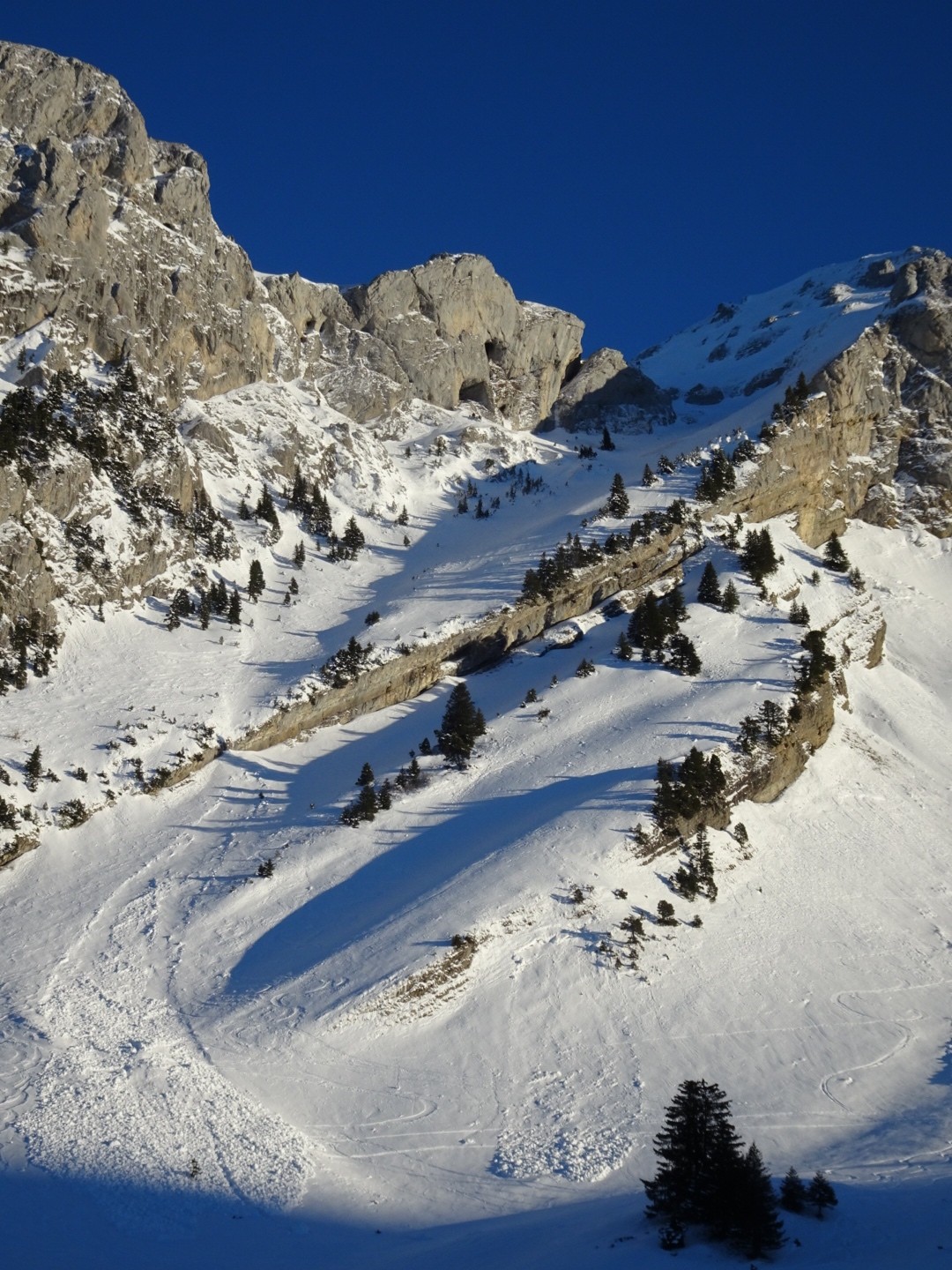 #17 La Linguale La Linguale