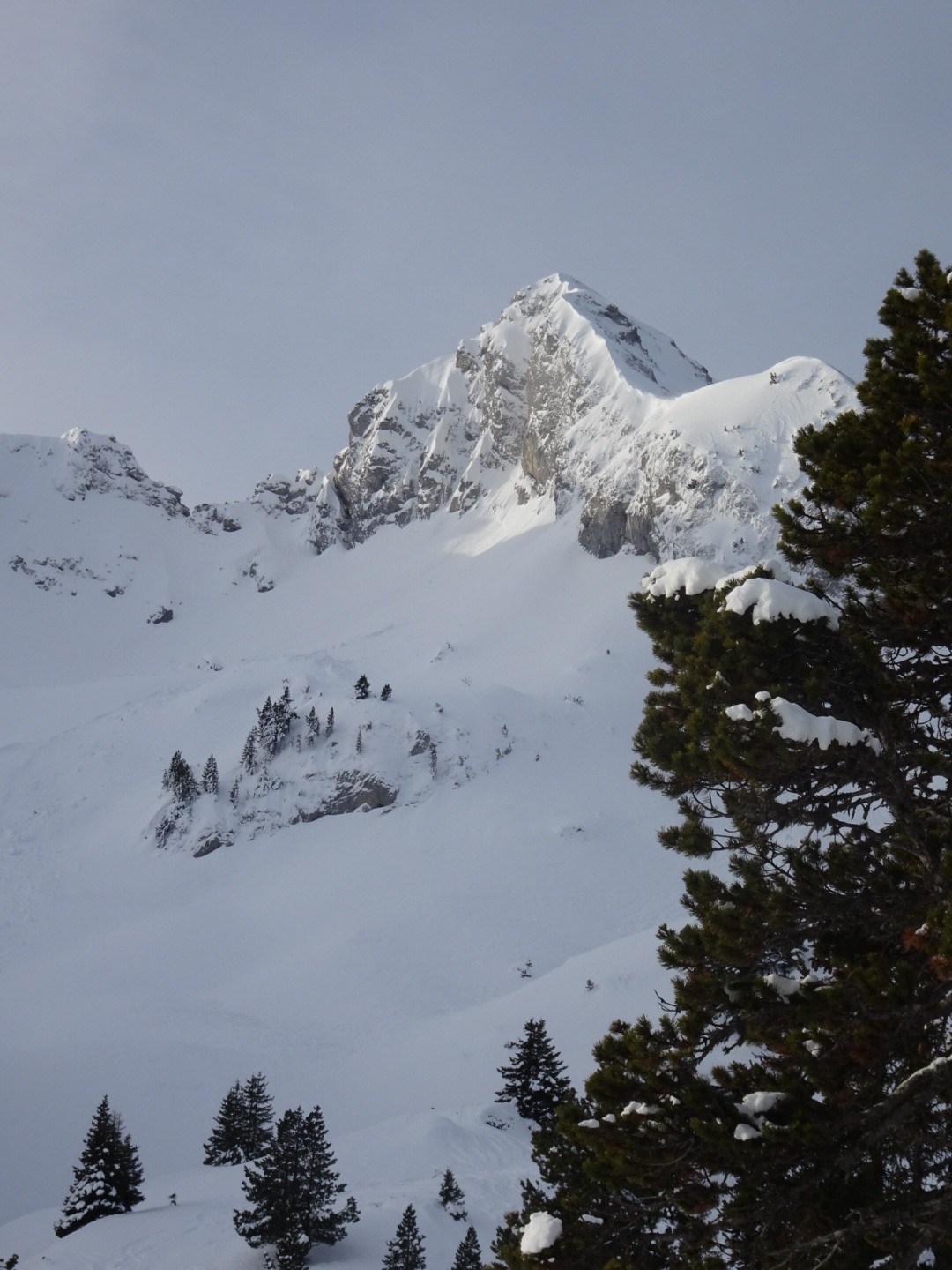 #1 La Sambuy La Sambuy