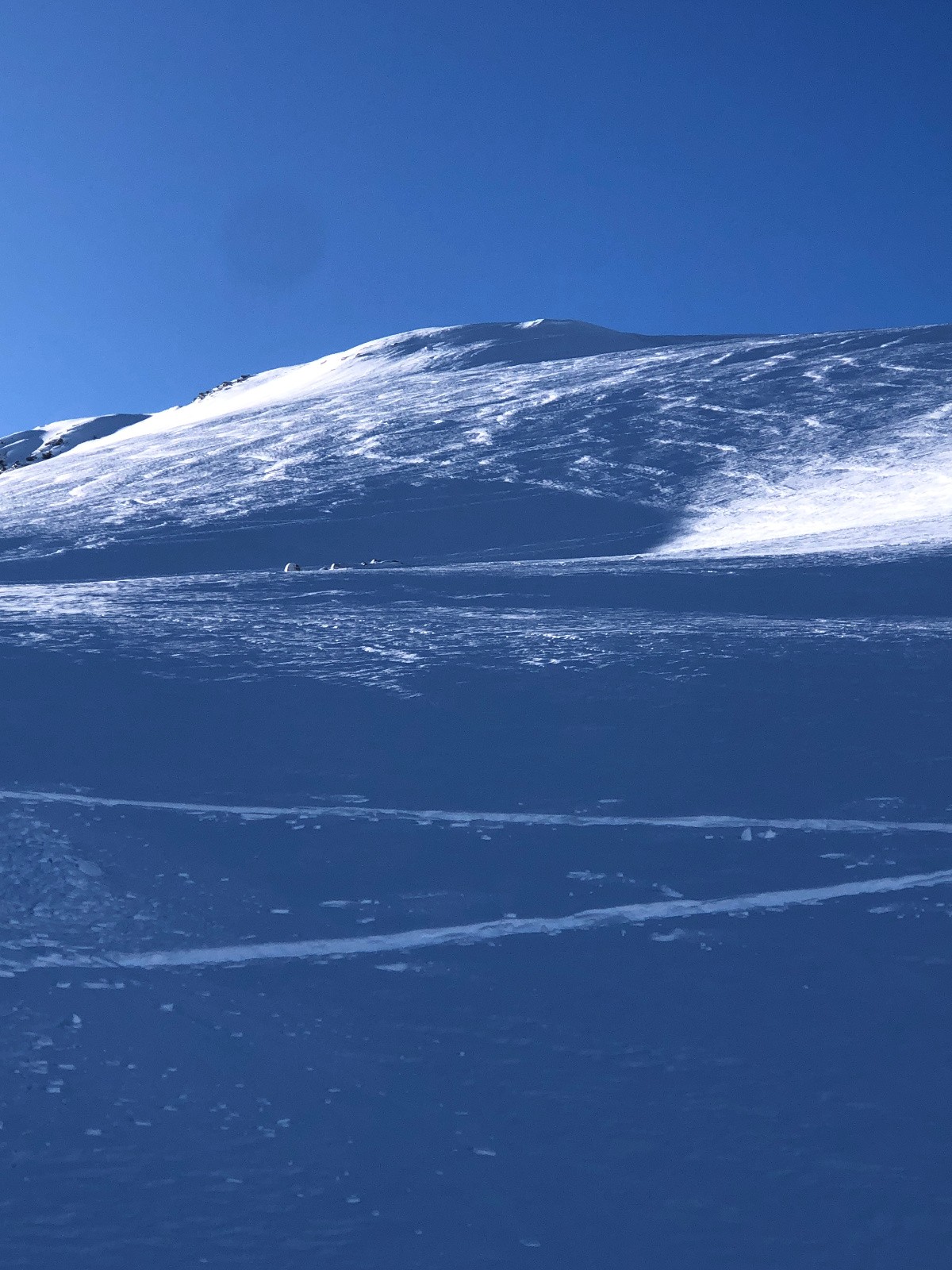rtcrete PIED GROS au soleil 