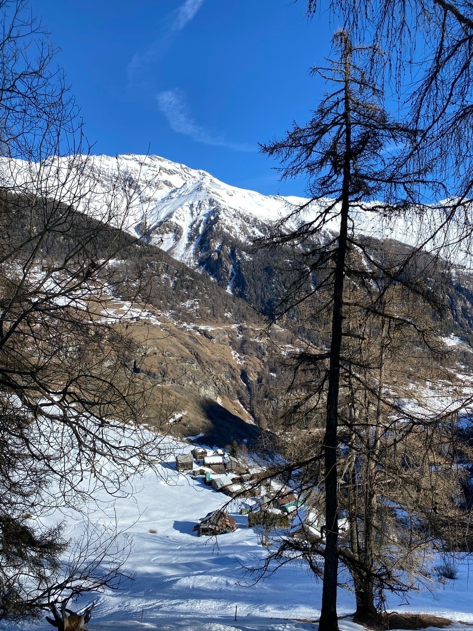 #10 Descente bucolique par les pistes Descente bucolique par les pistes