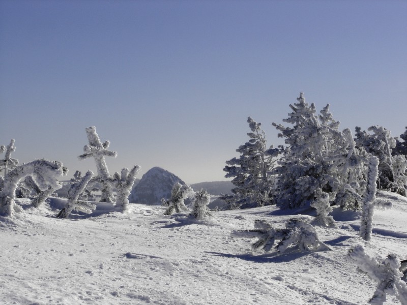 Sculpture : Sculptures façonnées par le vent avec le Mont Gerbier des Jonc
