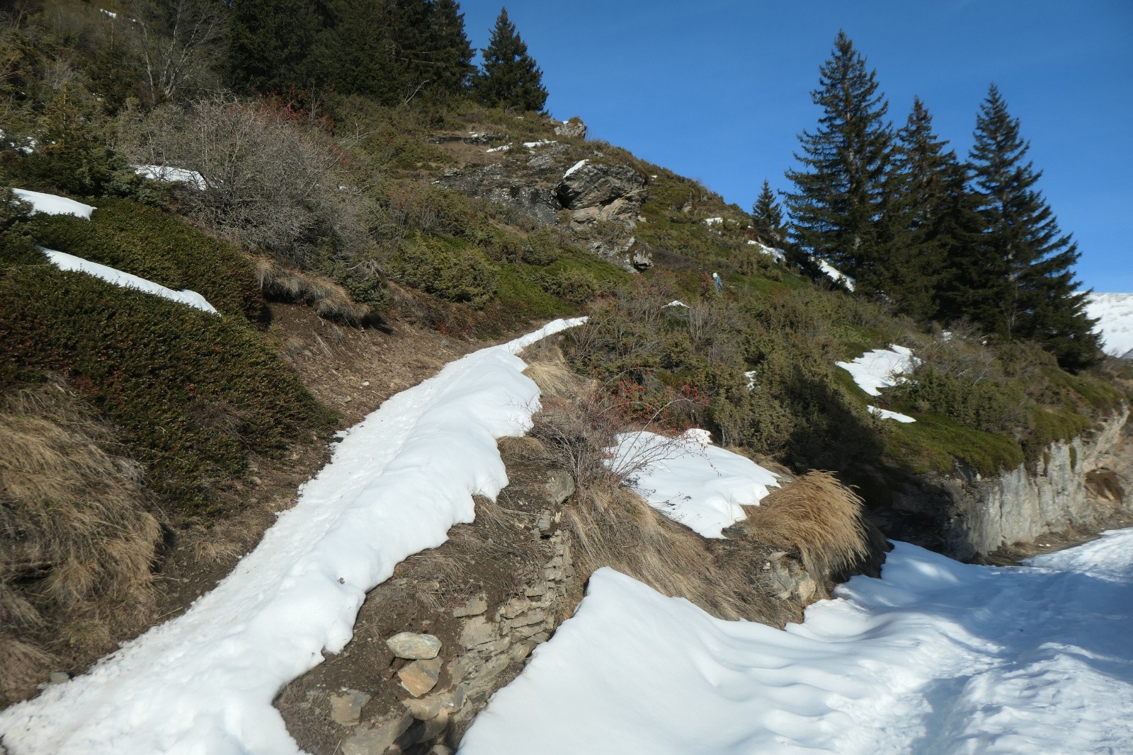 Dimanche : Y a juste ce qu'il faut ^^.&nbsp; 