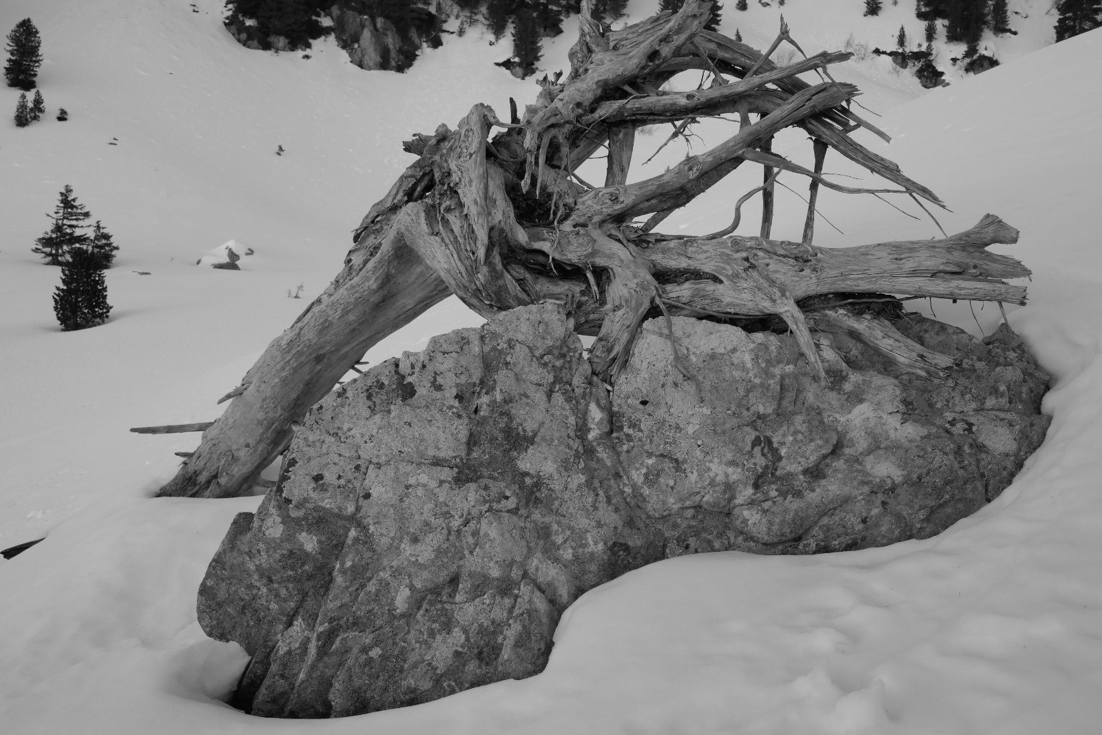 Sculpture de la Combe du Bœuf!