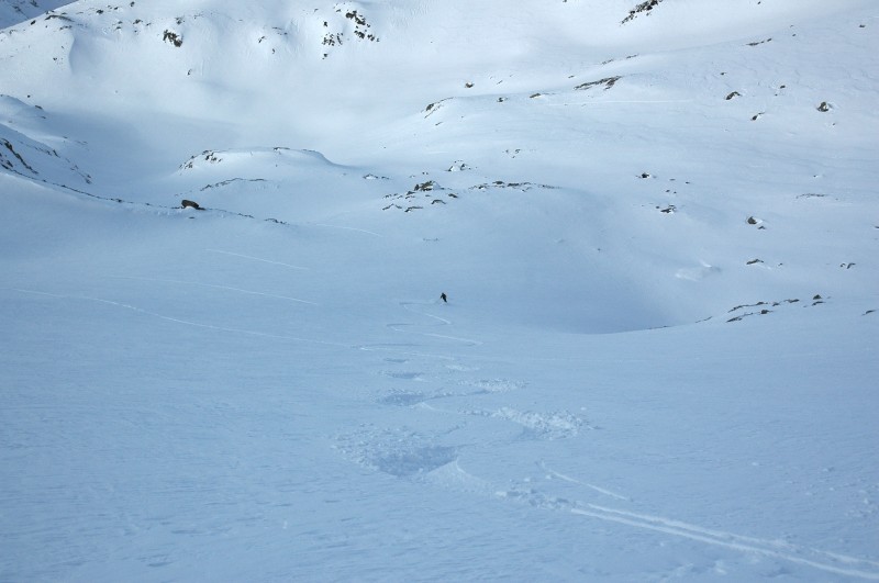 Tour du pic sud du Merlet : Palmito se régale visiblement !