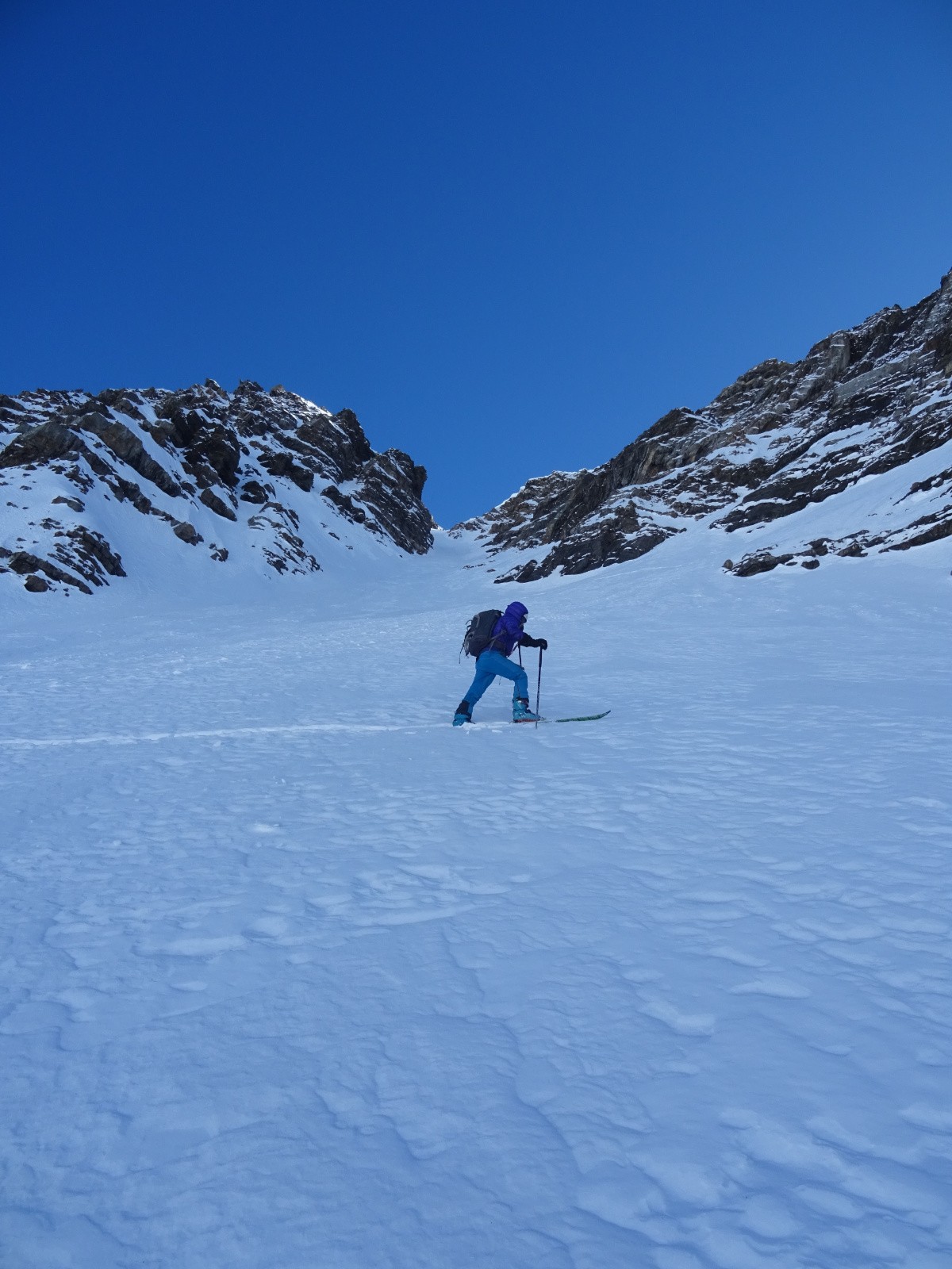 On rentre dans la bête !