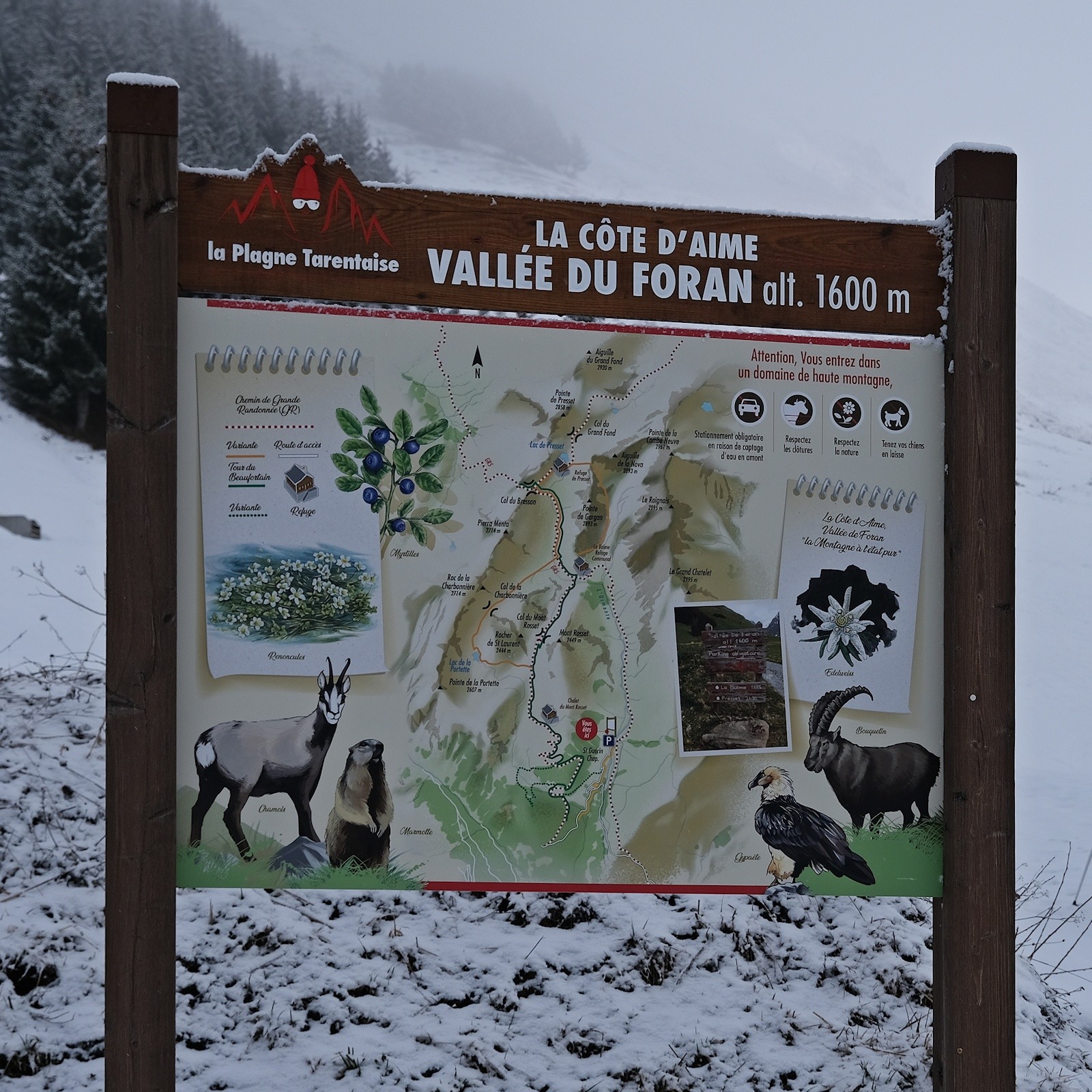 Vallée du Foran. 