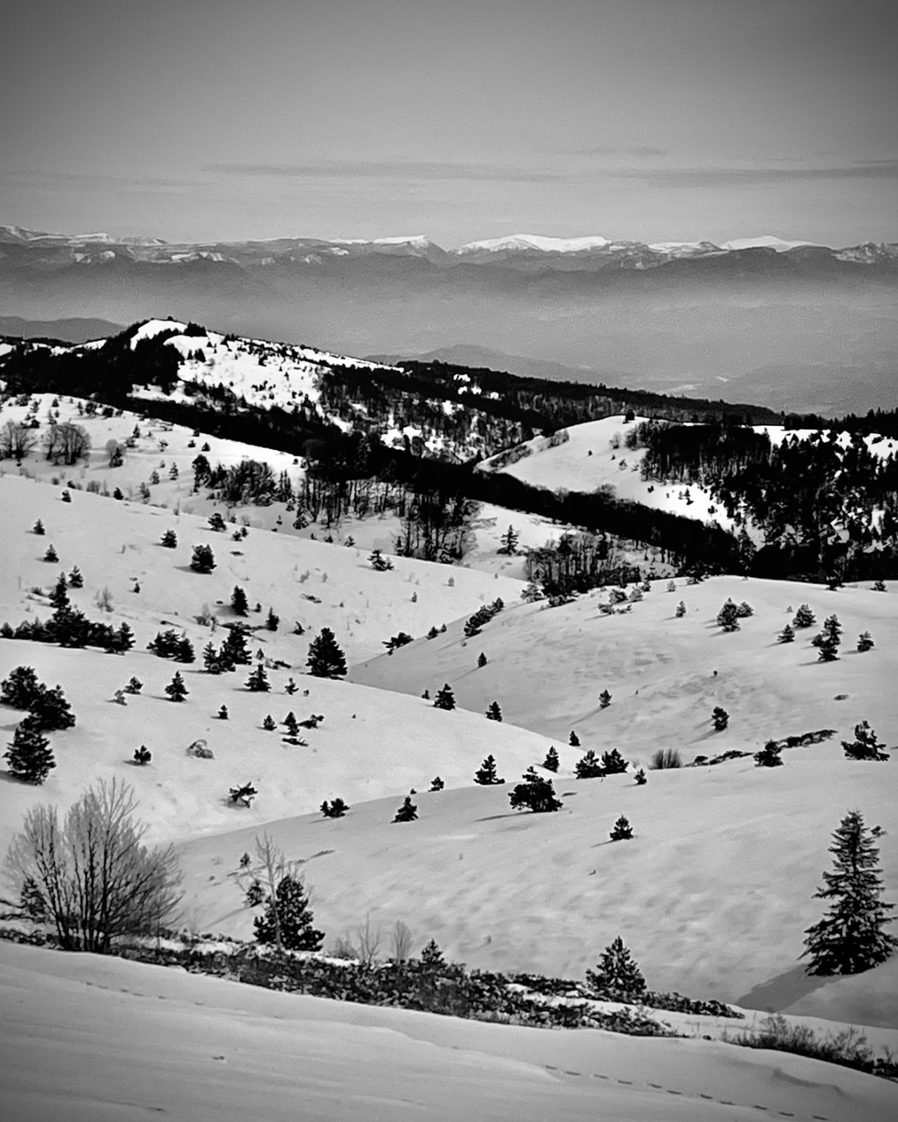 #2 Vers l’Est Vers l’Est