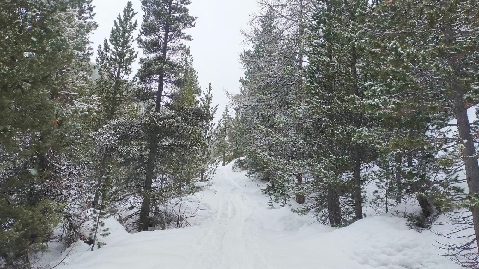 #1 Départ du vallon dans la forêt Départ du vallon dans la forêt