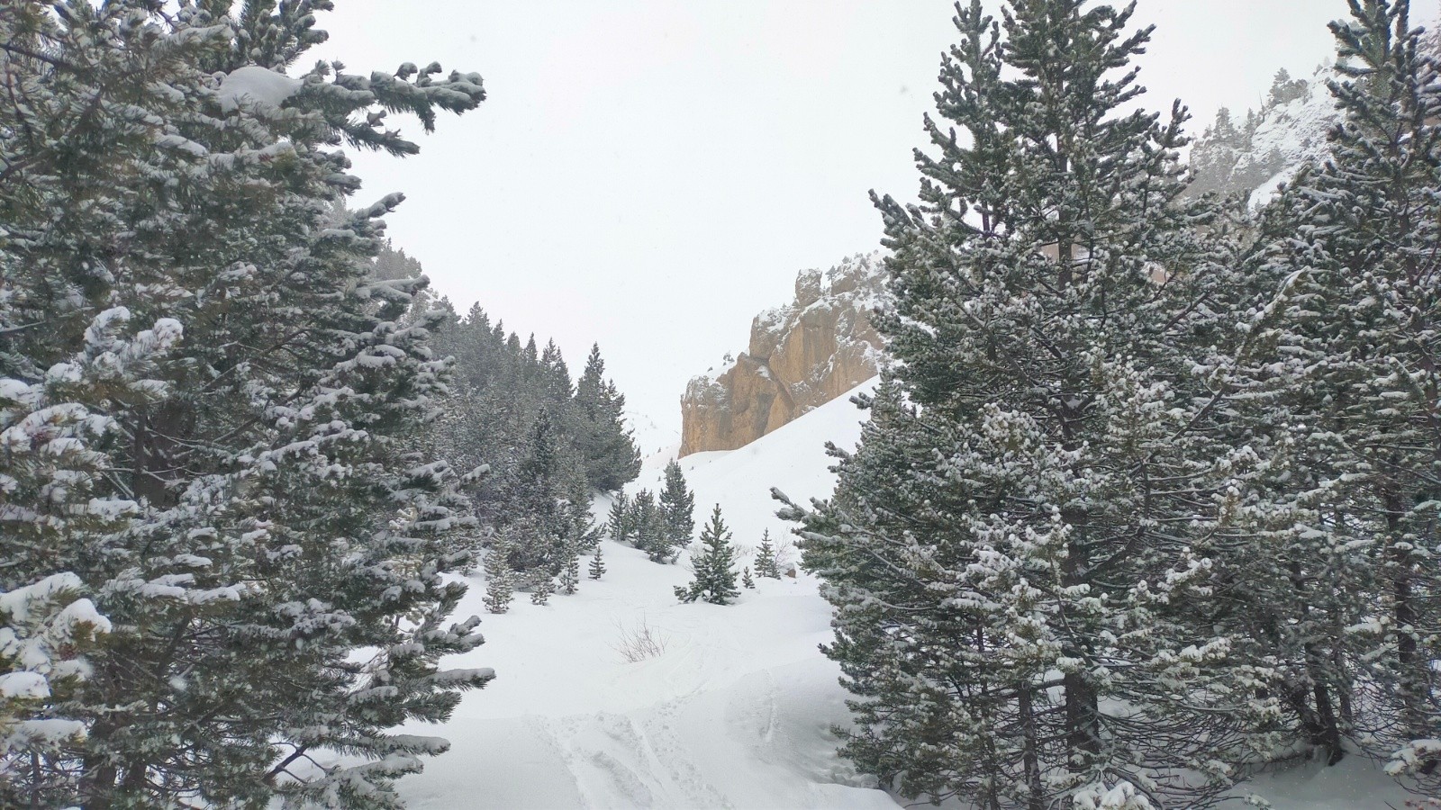 #2 Jolie combe pas trop encaissée en montant Jolie combe pas trop encaissée en montant