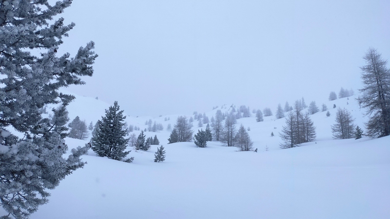 #4 Végétation de plus en plus parsemée quand on s Végétation de plus en plus parsemée quand on s'approche du col