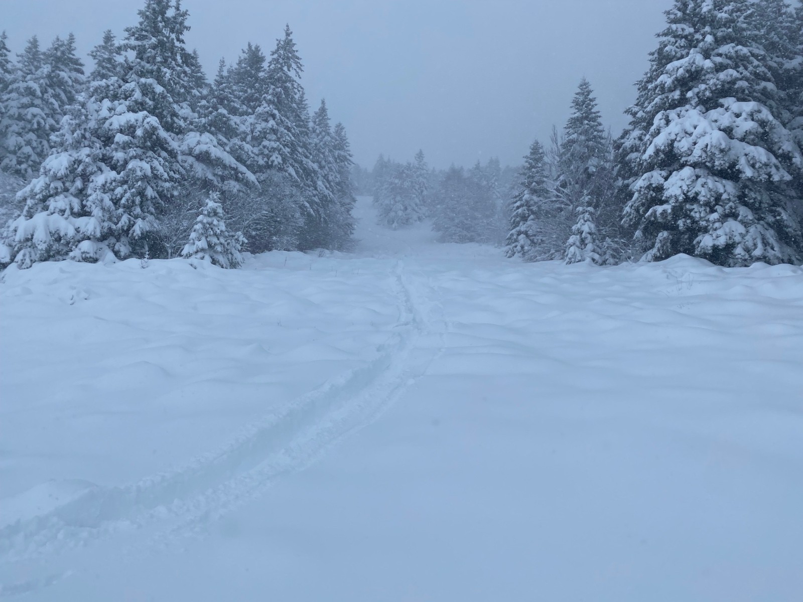 Vue sur la noire après mon passage en mode sanglier