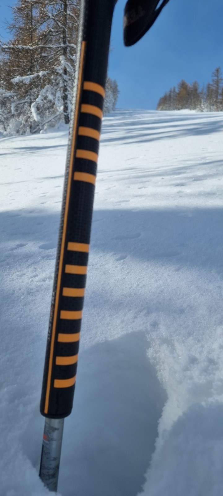 Il y a bien 80 cm de fraîche&nbsp;