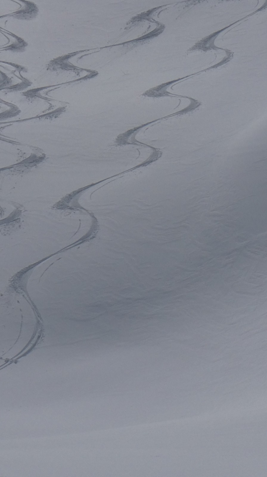 descente du haut du vallon d'Ane 