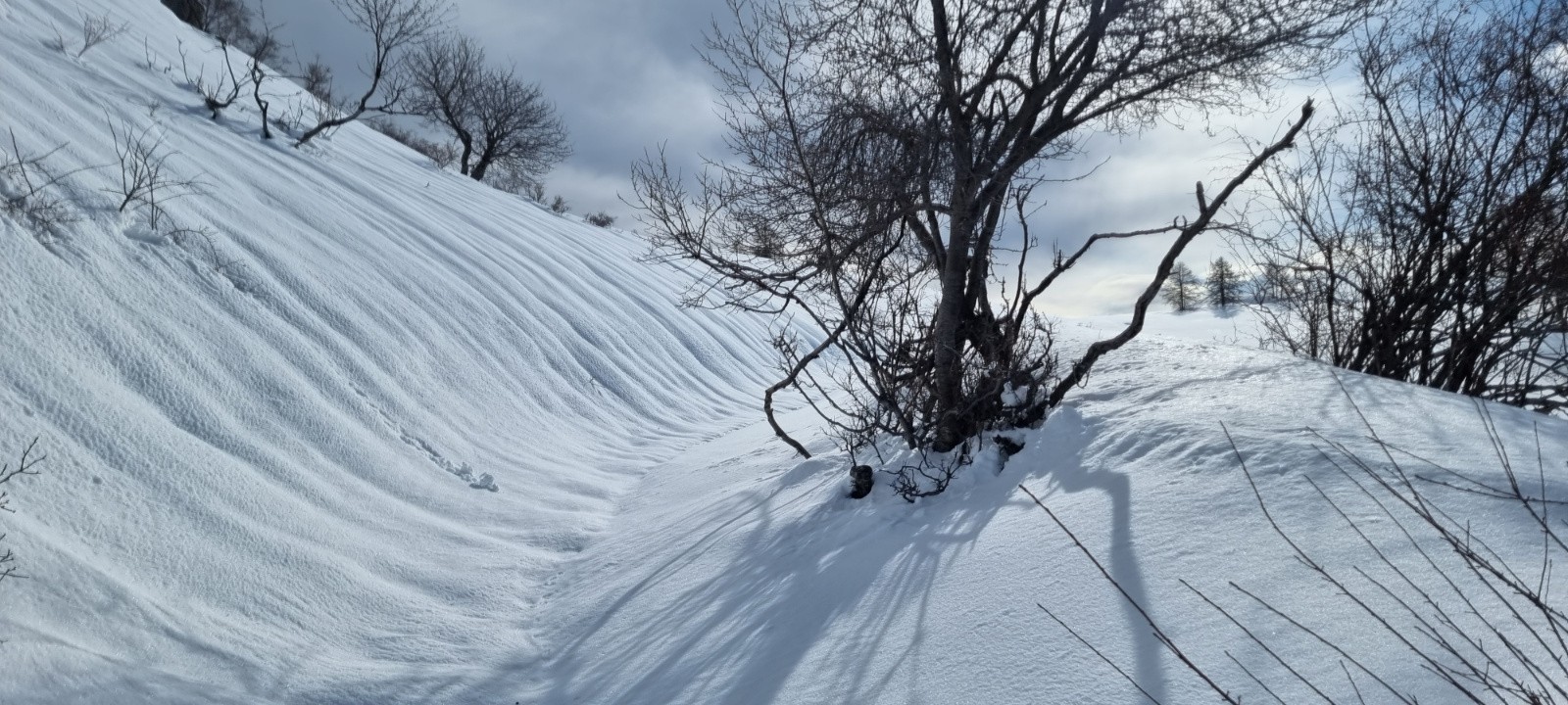 Sur la piste tellement empruntée à VTT 