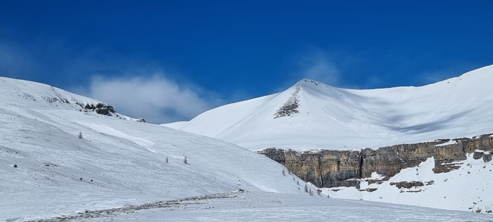 Etat des lieux... pas fameux 