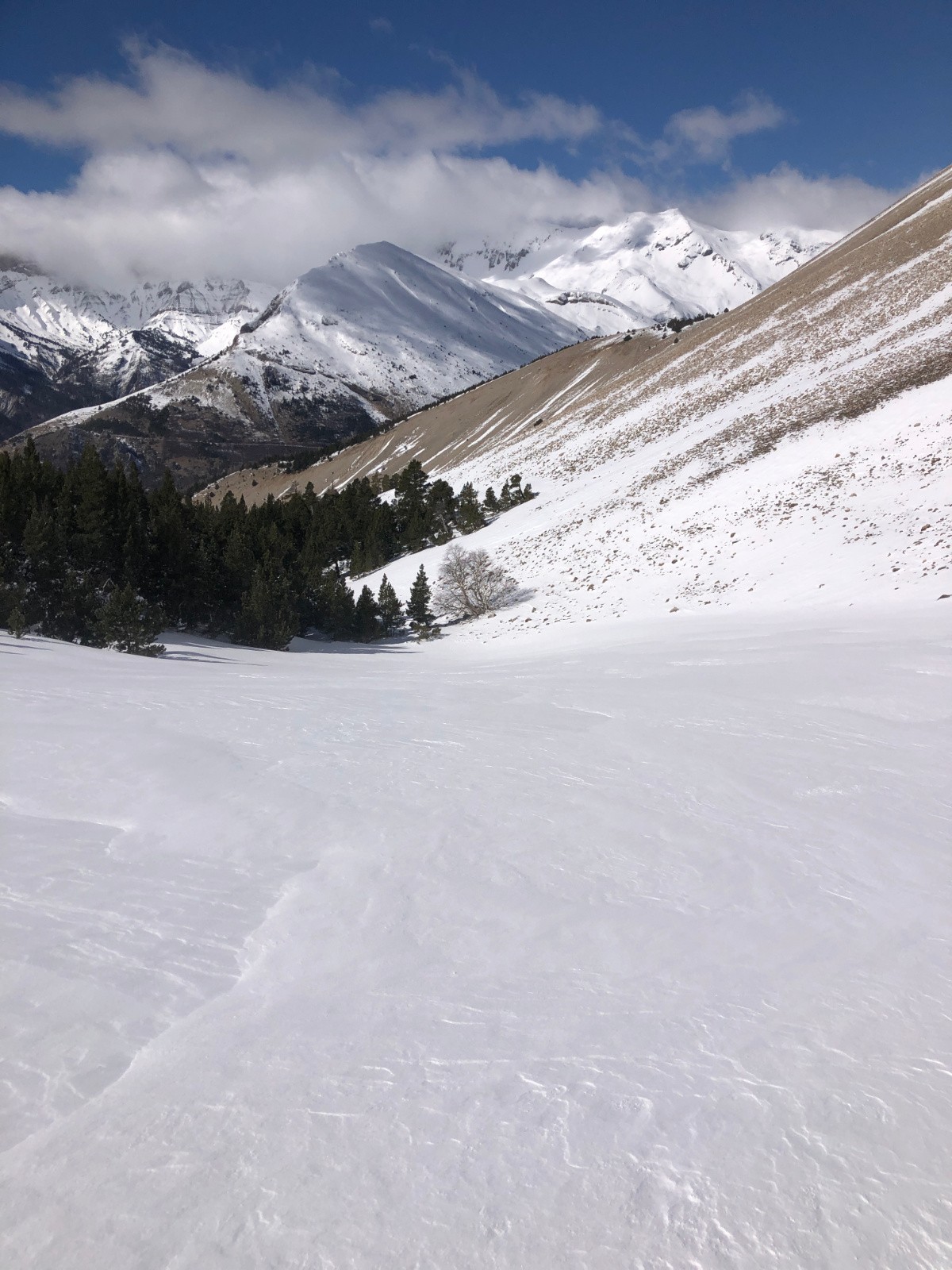 la foret nous tend les bras