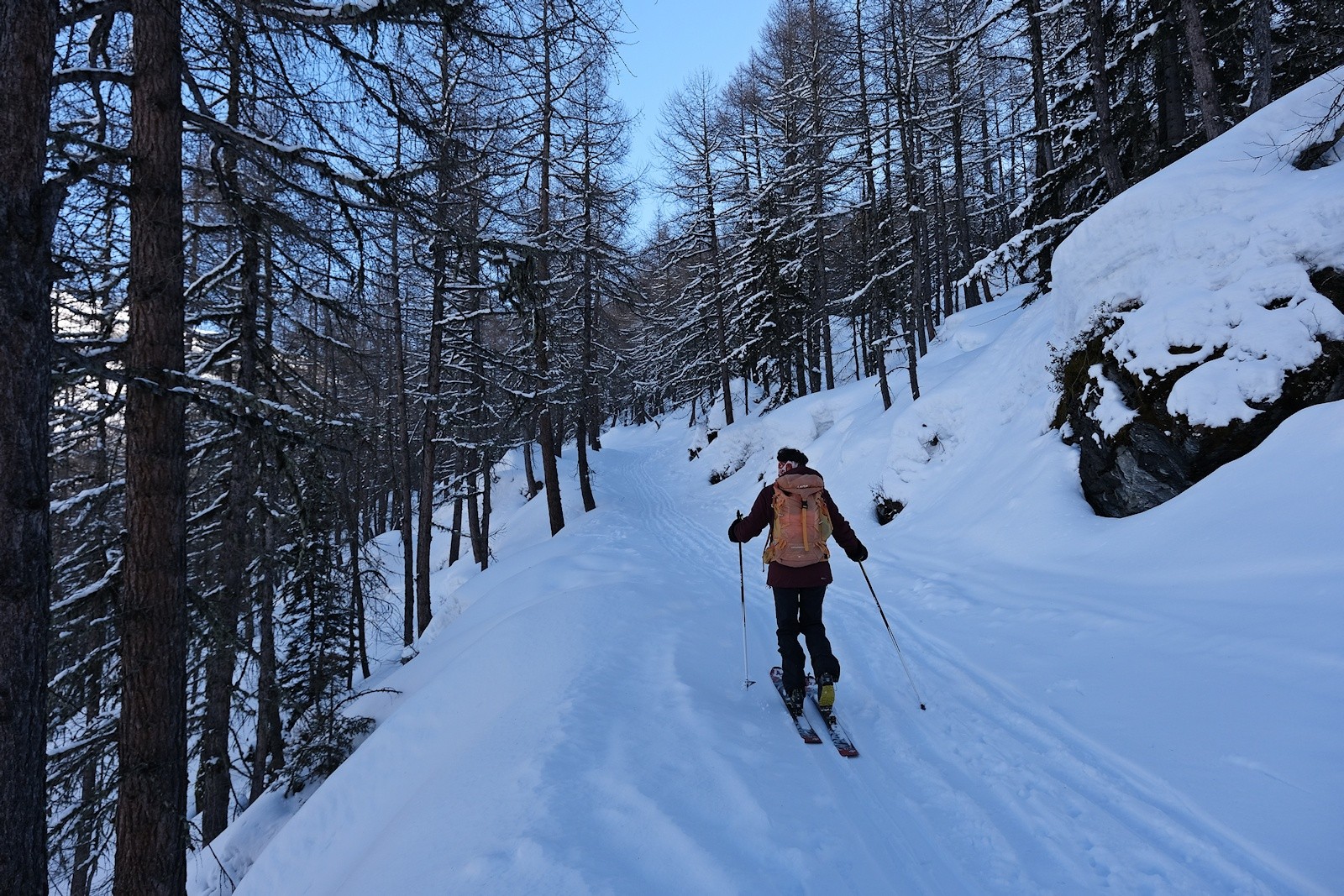 #2 A l A l'ombre du mélézin au-dessus du Monal, nous remontons la piste.