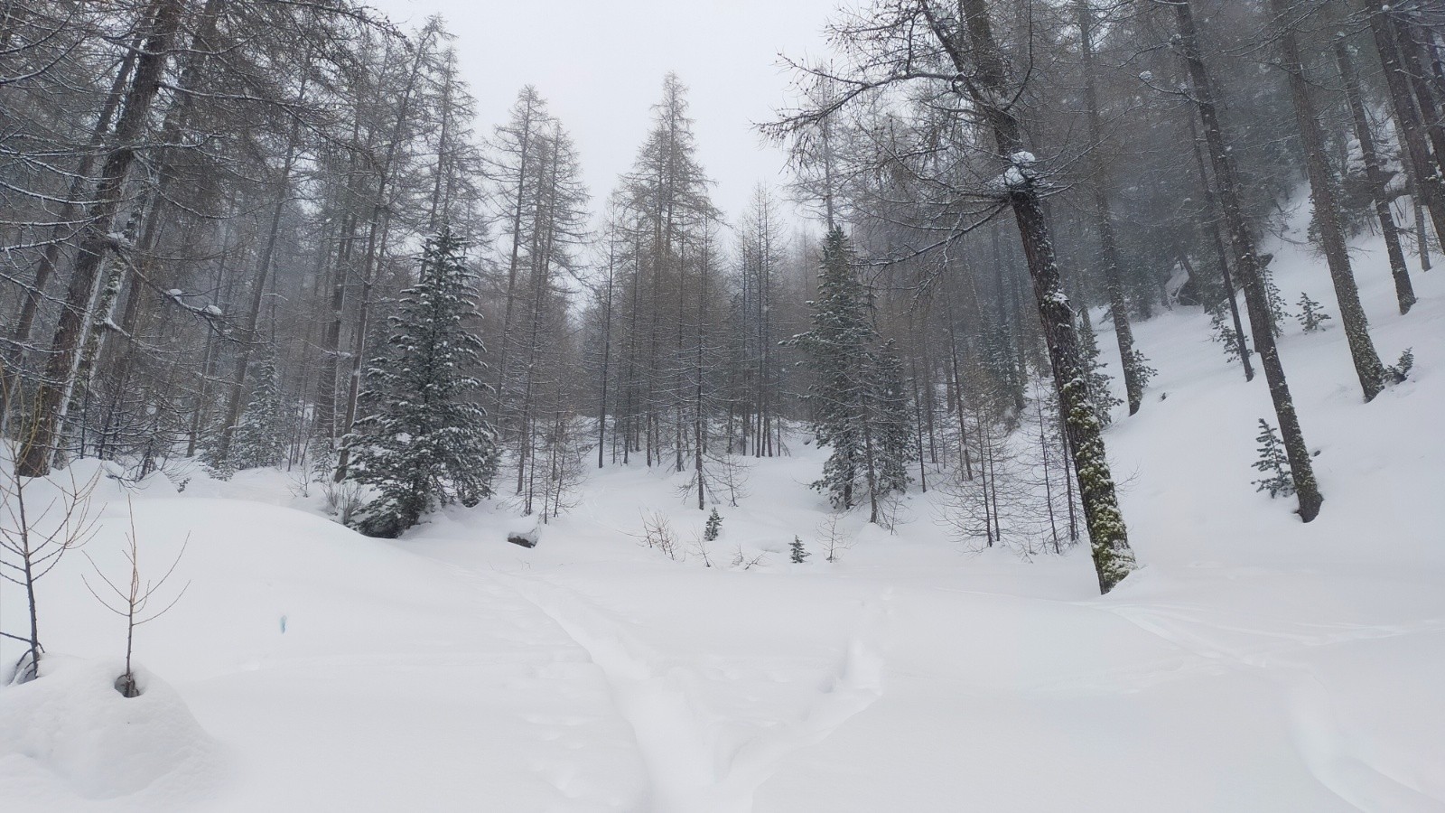 Trace de la veille dès le départ&nbsp;