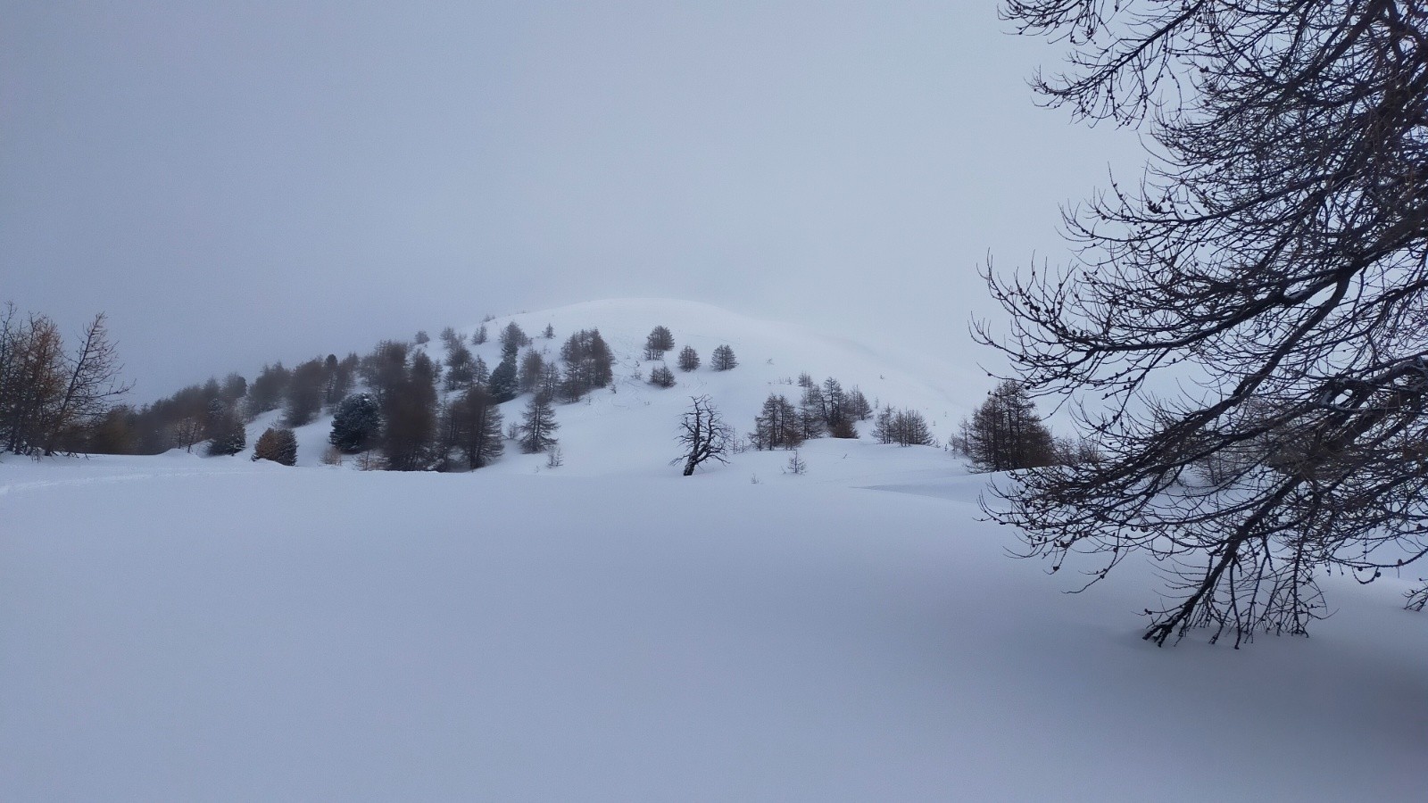 &nbsp;Le Mourre Froid queyrassin&nbsp;