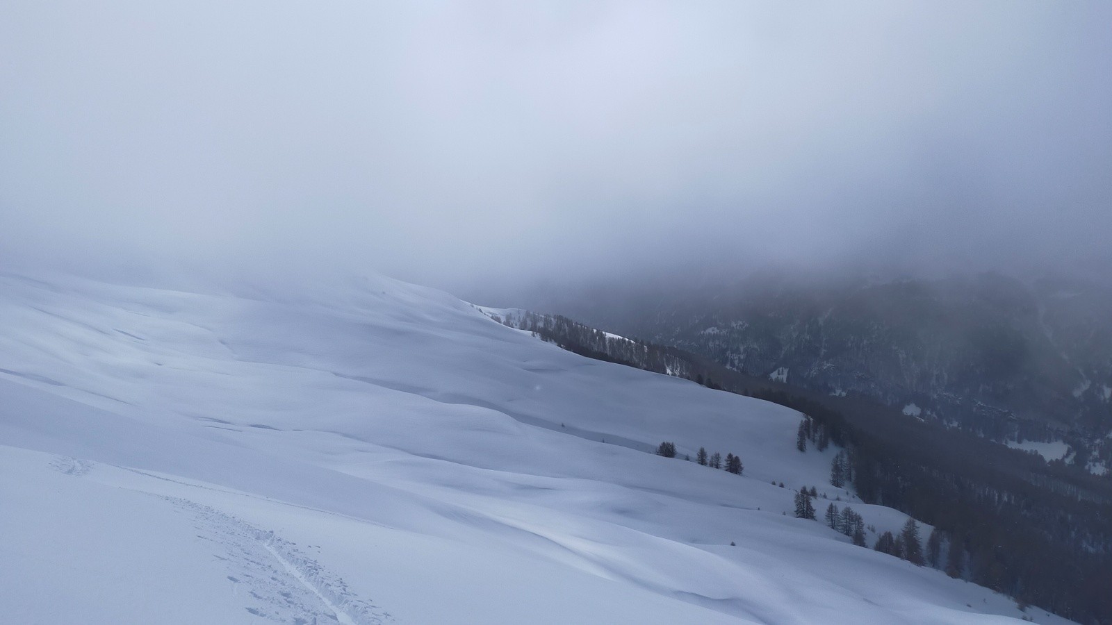 &nbsp;Nuance de blancs