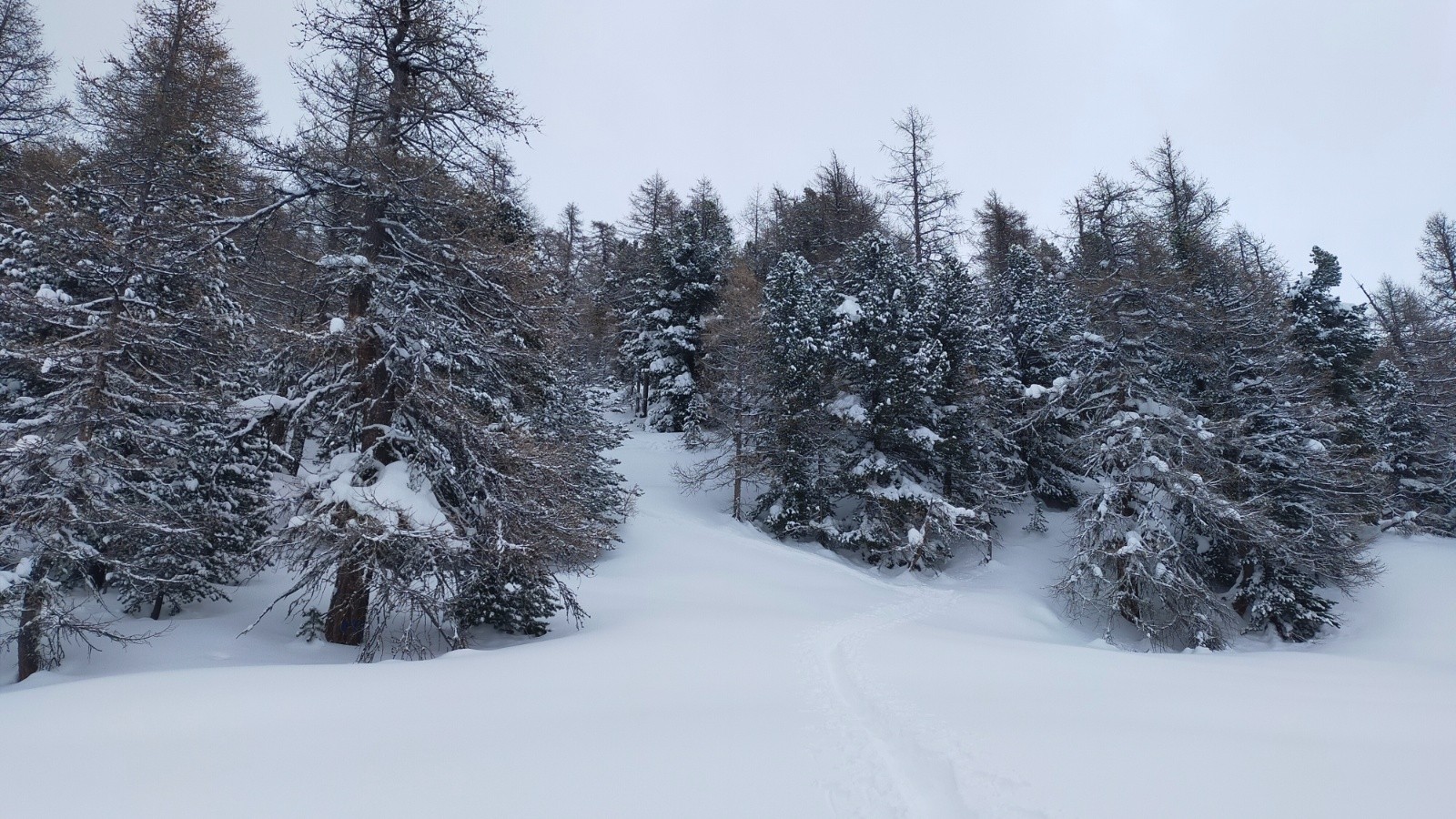 Trace du jour bienvenue à la montée qui arrive de Prats Hauts&nbsp;