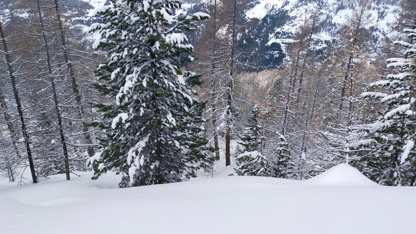 Des parties aérées&nbsp;