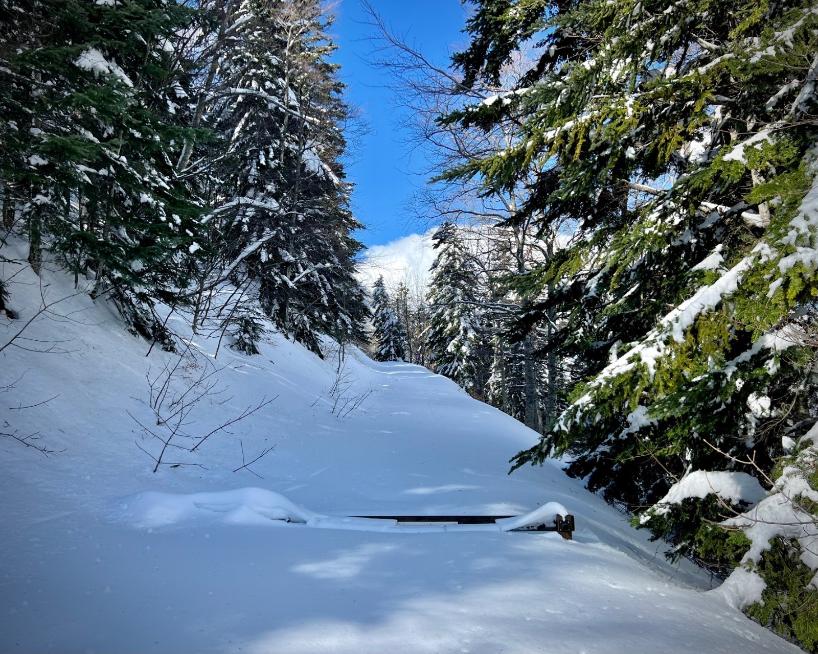 &nbsp;La barrière à l'entrée de la piste forestière au lacet1460 de la route de Valbelle