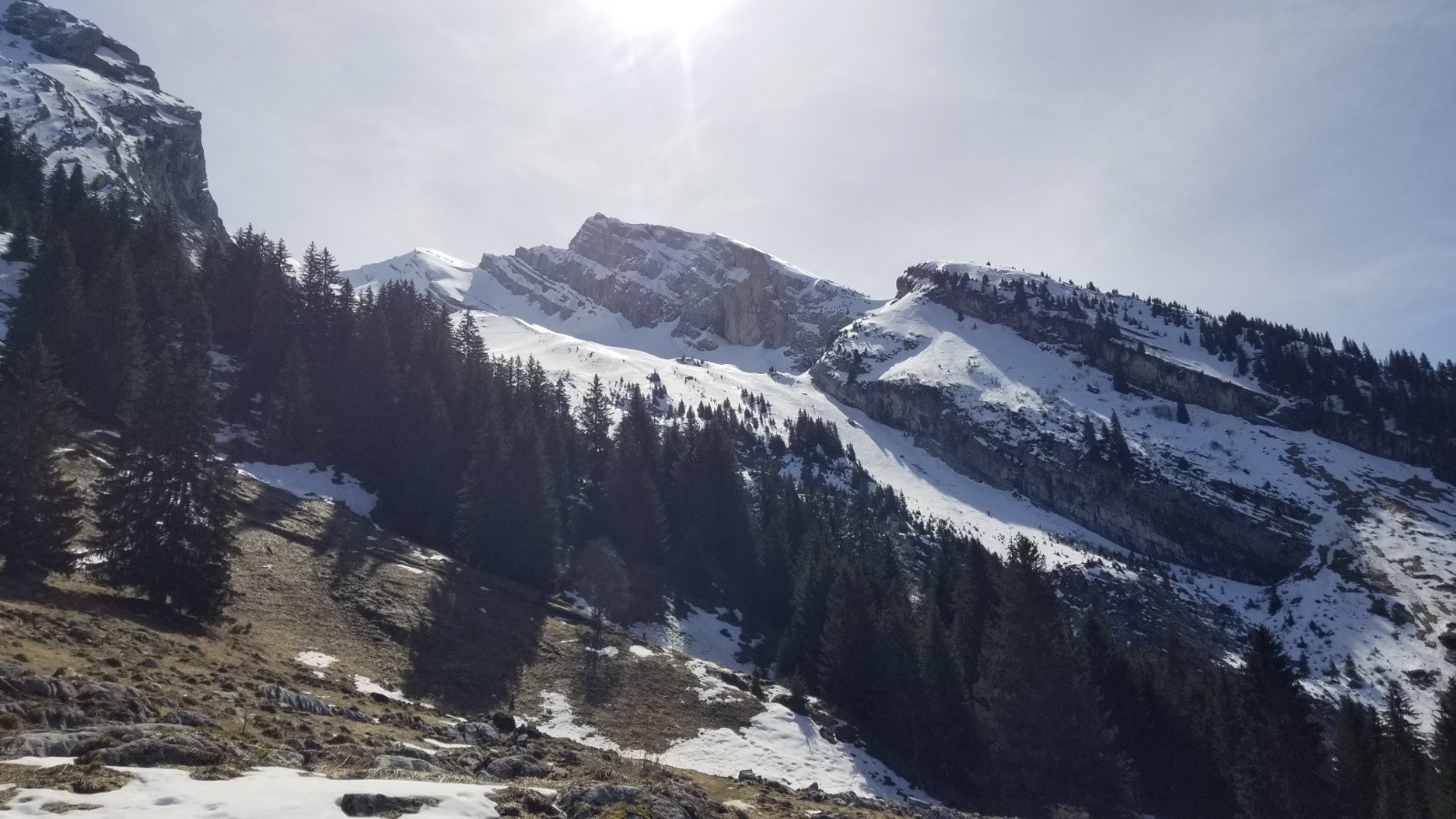 Sortie de la forêt sous Bellachat