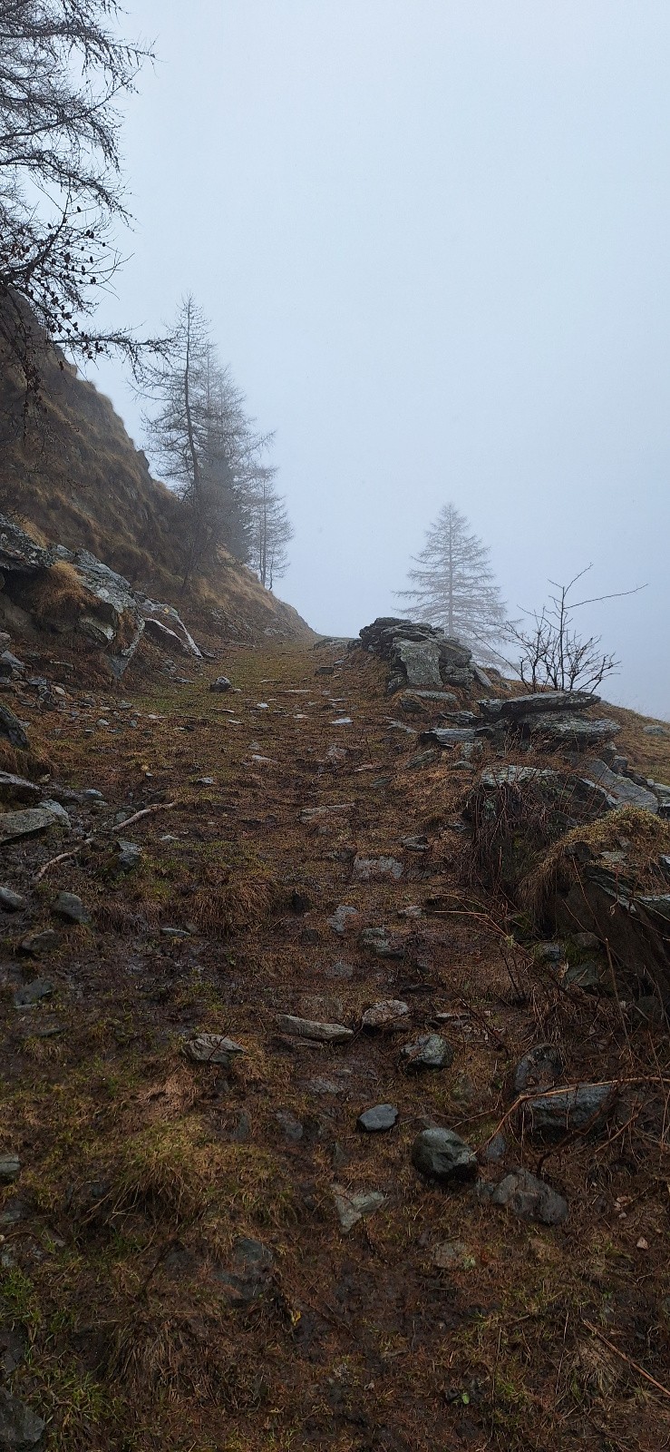 J2 départ sous la pluie et skis sur le dos