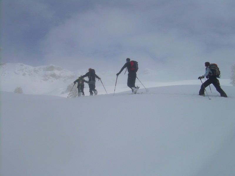 traçage : environ 60 cm de neige fraiche