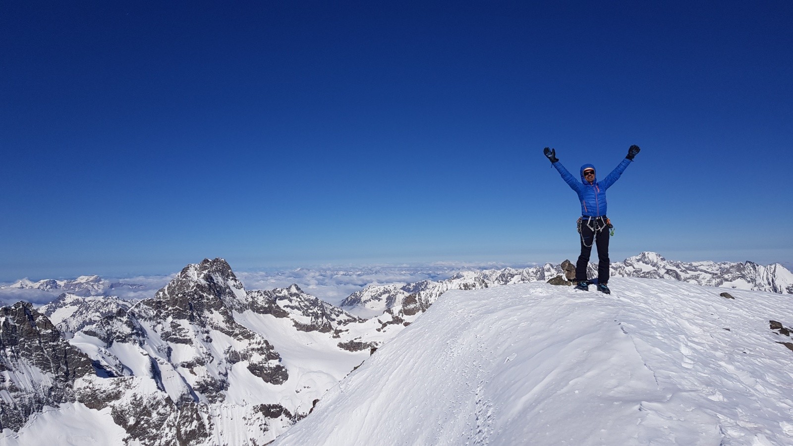 &nbsp;Rui au Rouies!