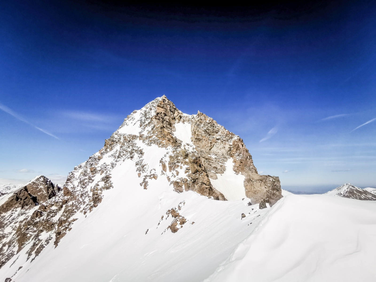 #14 Corborant Corborant