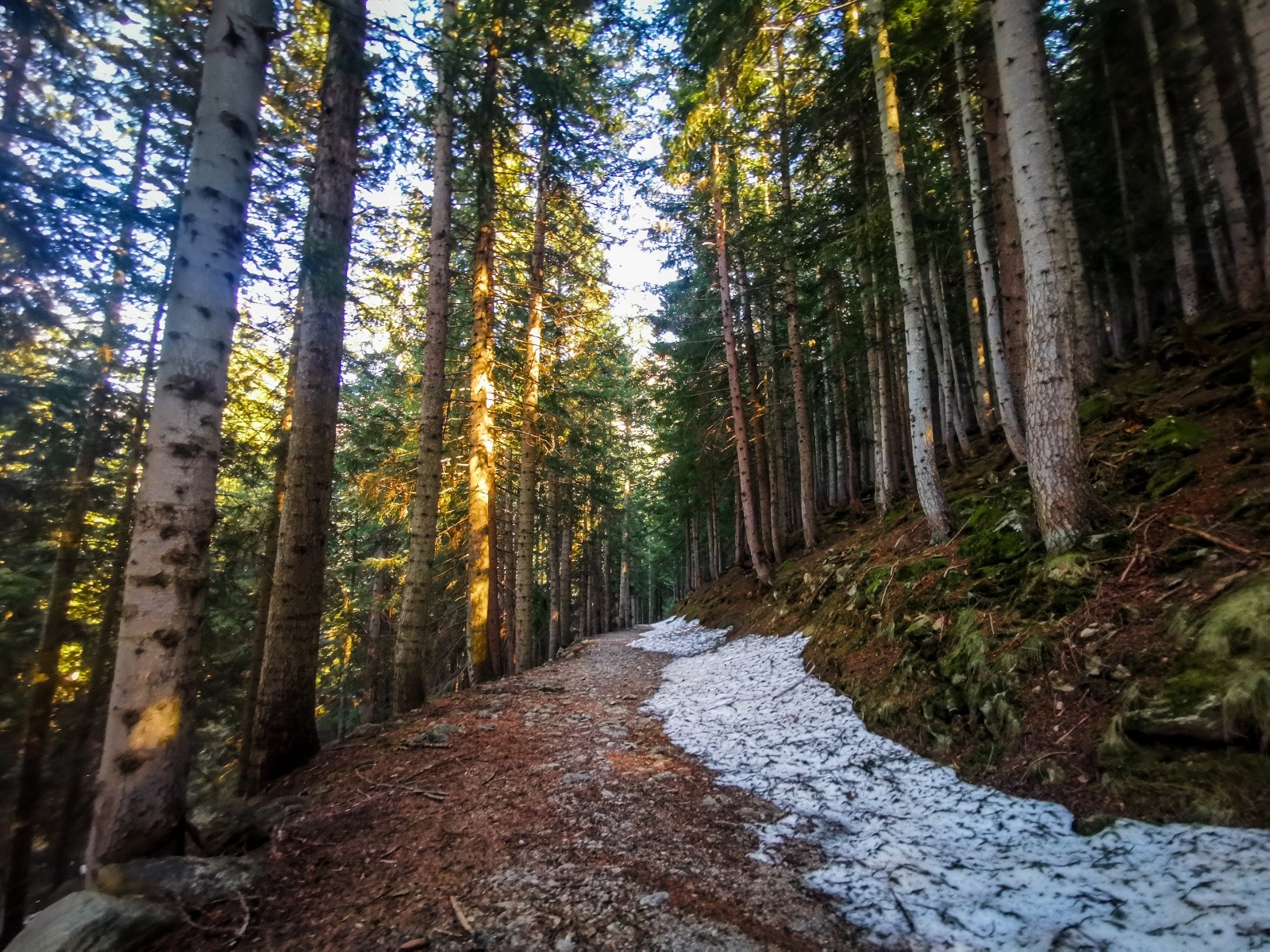 #18 San Bernolfo San Bernolfo