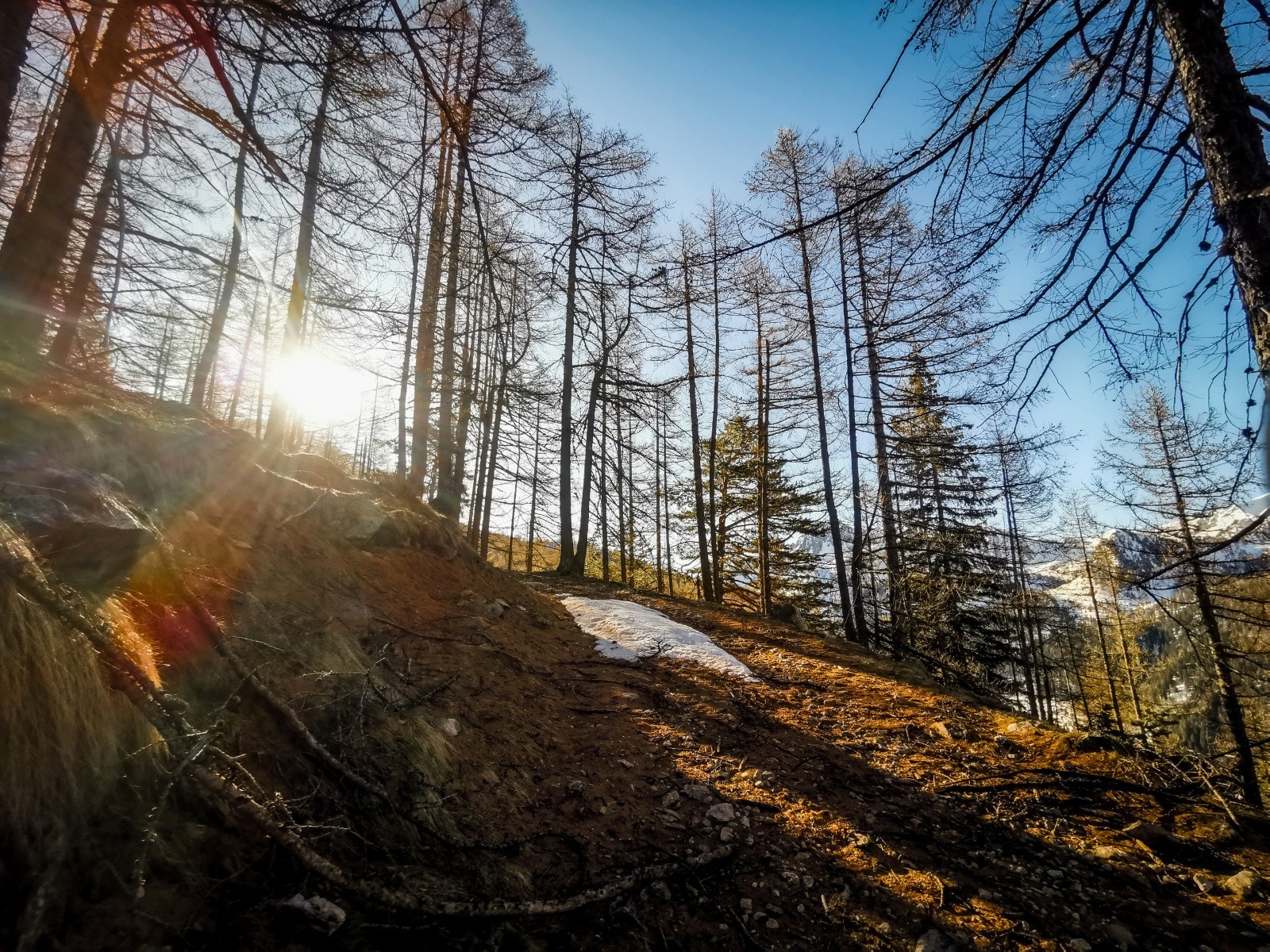 #23 J2 : traversée à flanc vers le col de Salèse J2 : traversée à flanc vers le col de Salèse