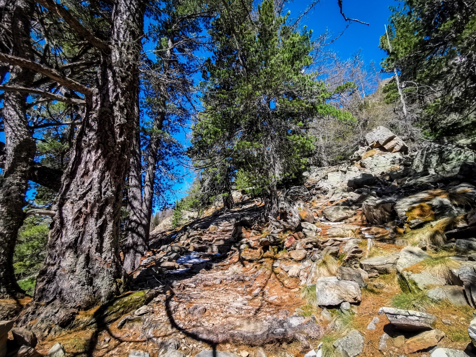 #27 Sous le ref. de la Cougourde Sous le ref. de la Cougourde