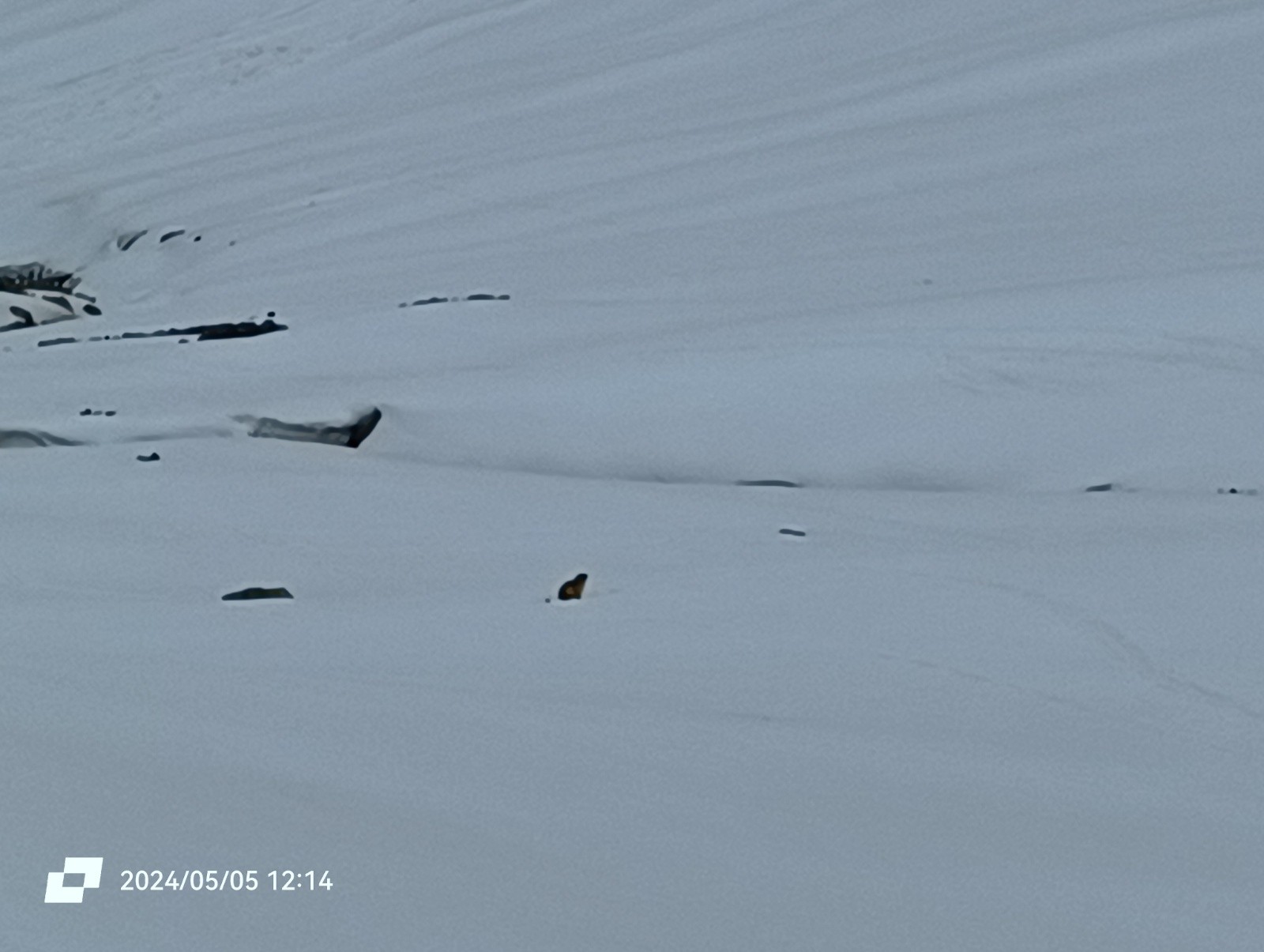 Il y en a partout !&nbsp;&nbsp;