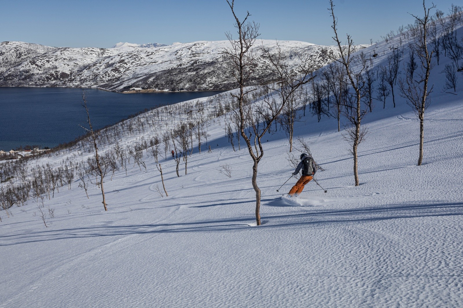 J1 : Fin de la&nbsp;descente E du&nbsp;Skardelvfjellet et premiers pas dans ces forêts de bouleaux..