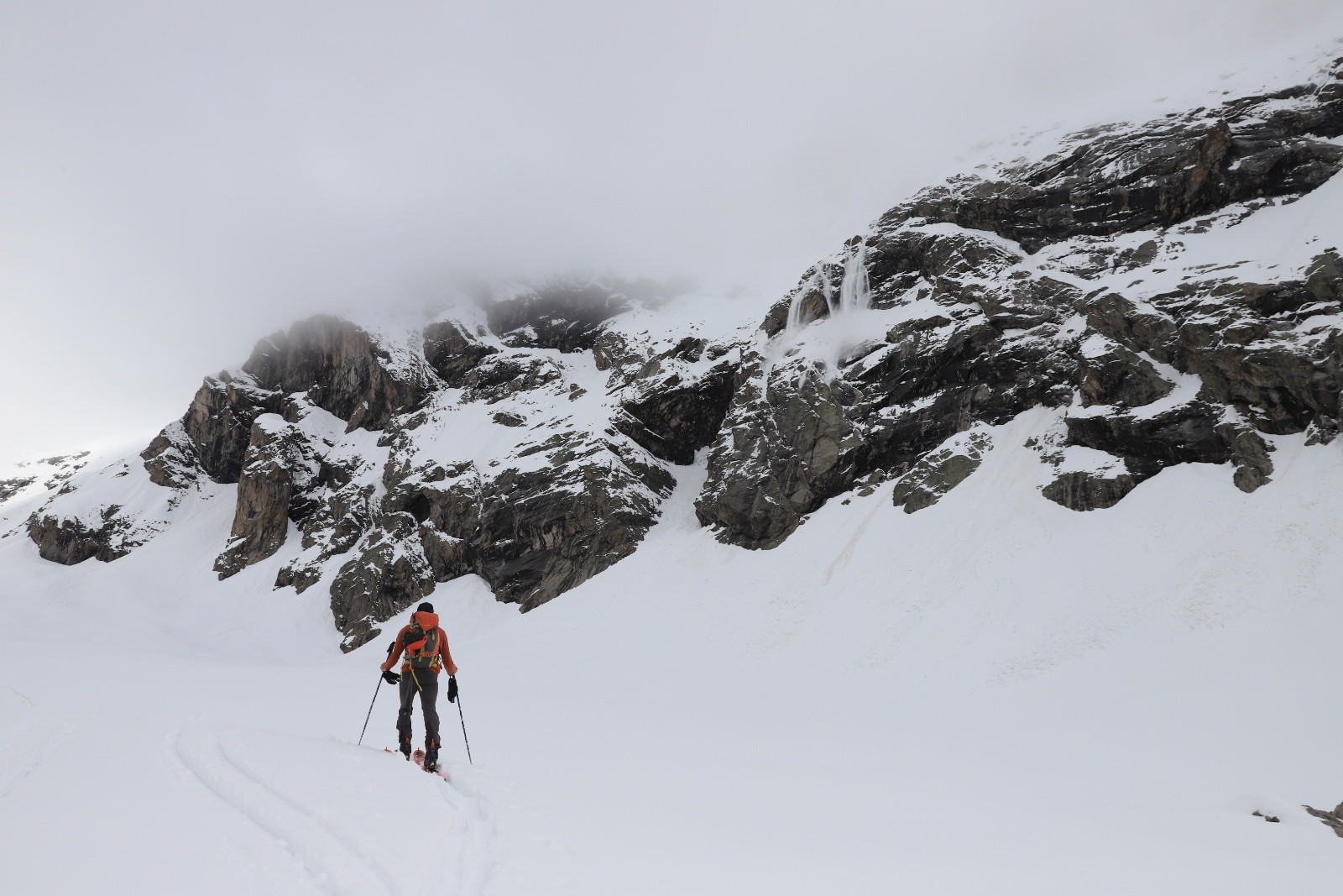 &nbsp;Encore une purge