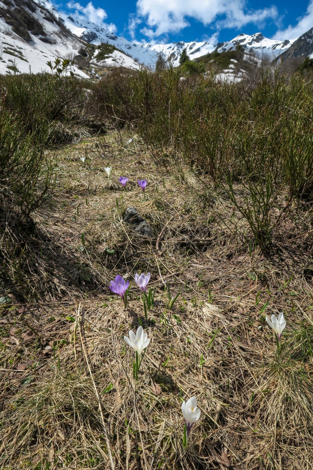 Tout le ski de printemps résumé !!&nbsp;