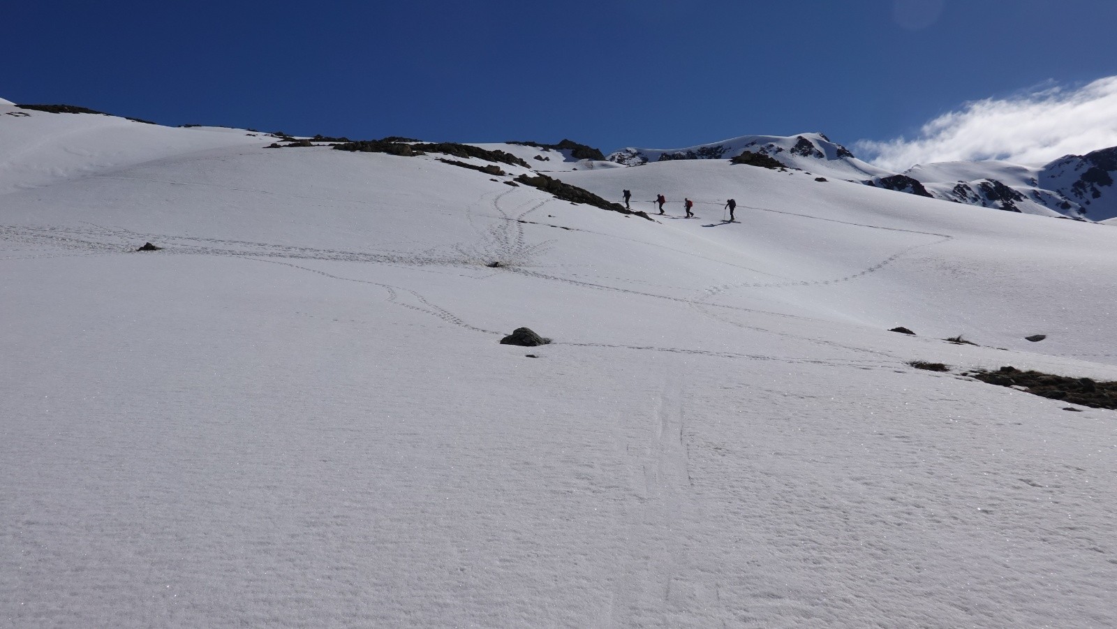 Des marmottes à profusion dans ce vallon