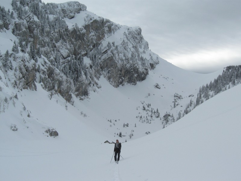 Petit Som - : Bovinant et  au fond le col Mauvernay vus des pentes de Roches Rousses