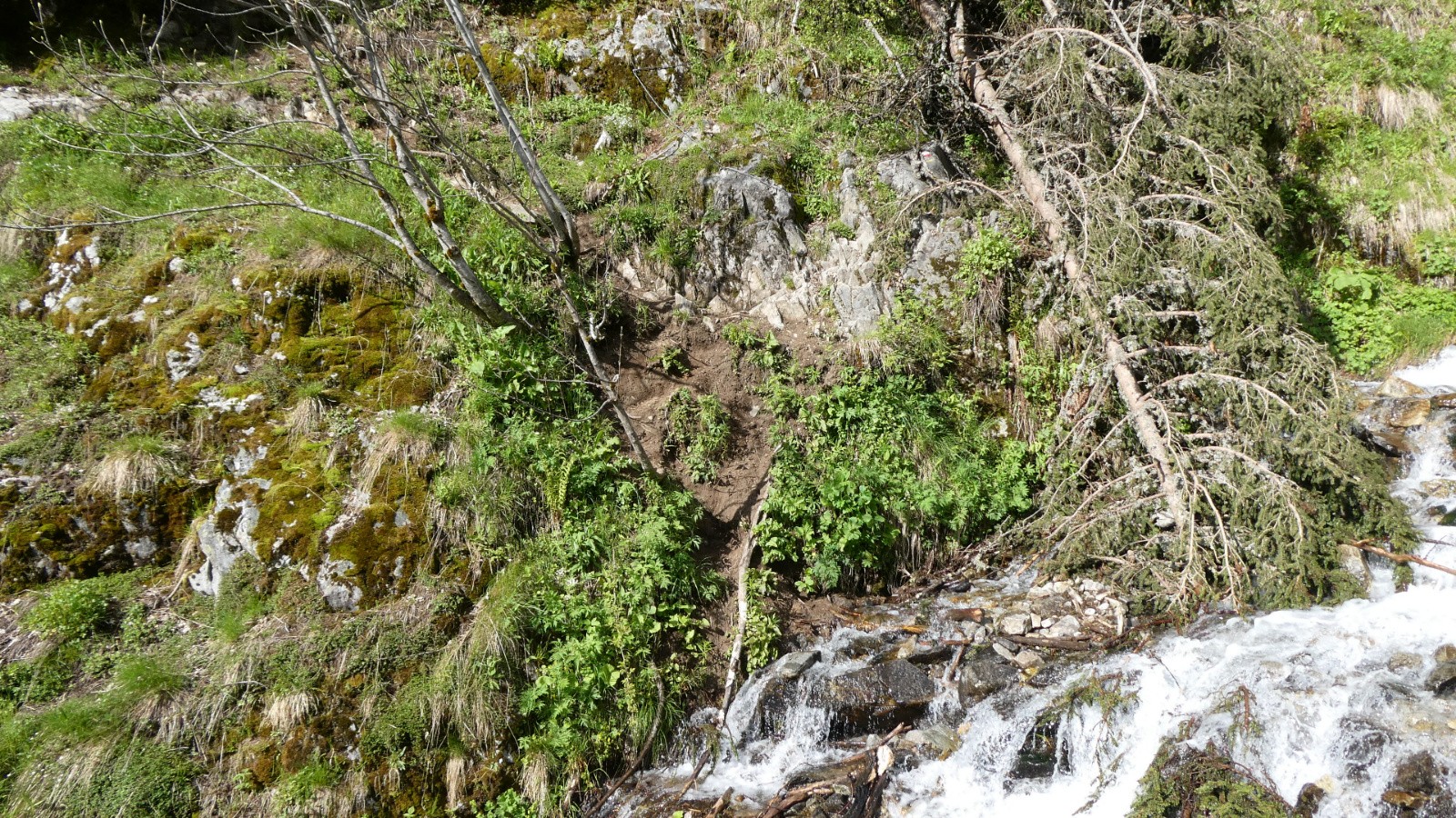 #24 le fameux "crux" - amerrissage dans le ruisseau inévitable le fameux \