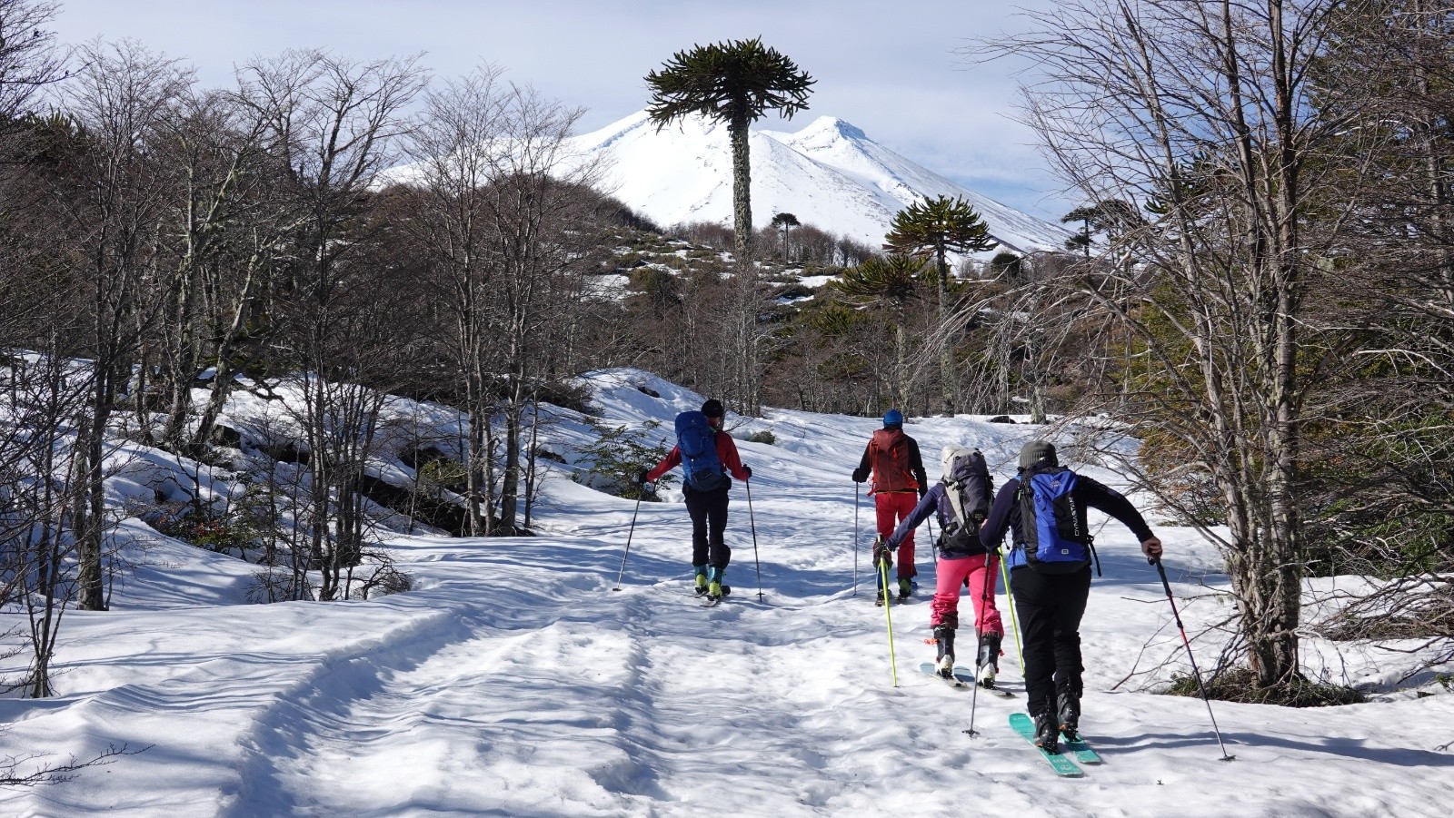 Cheminement sur fond de volcan Lonquimay